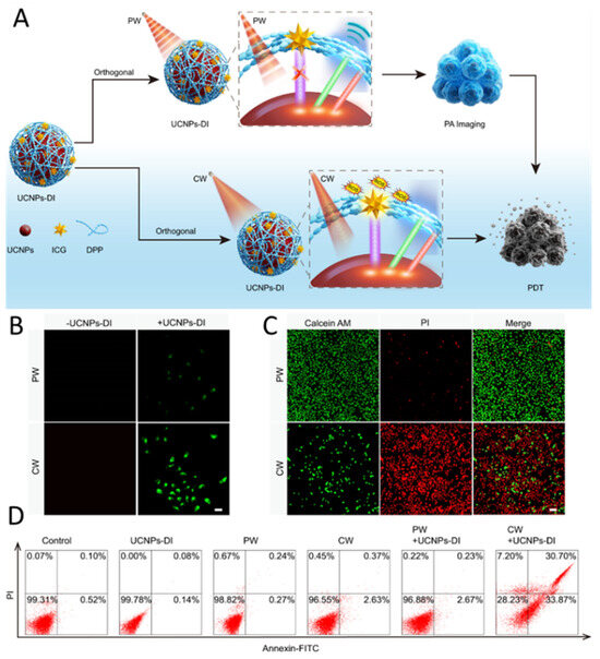 TAOセットアップ24M Multifunctional Upconversion Nanoparticles Transforming