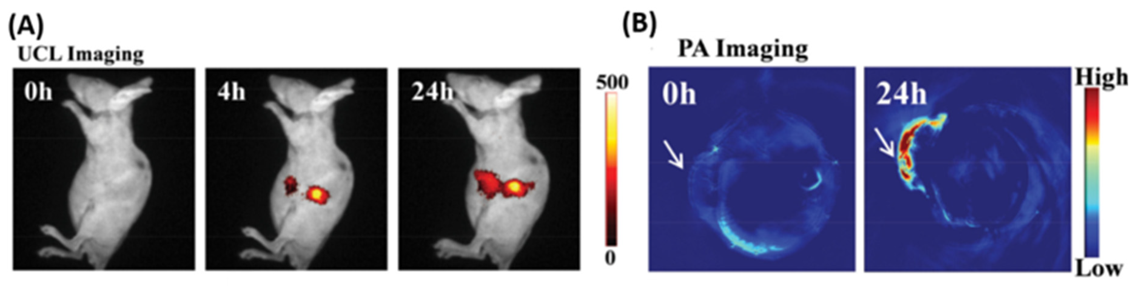 Nanomaterials 15 01074 g016