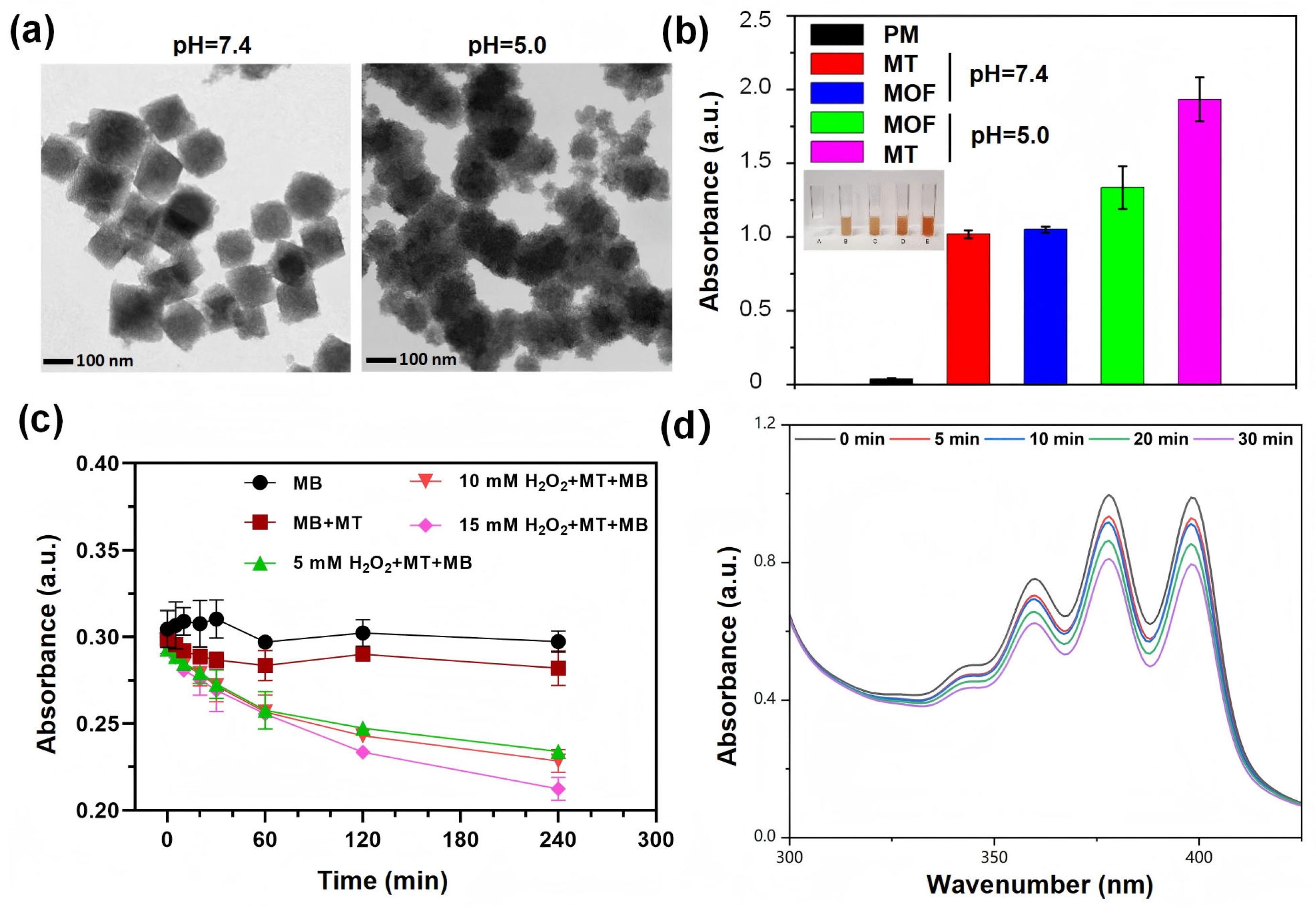 Nanomaterials 15 01075 g002 Nanomaterials 15 01075 g002