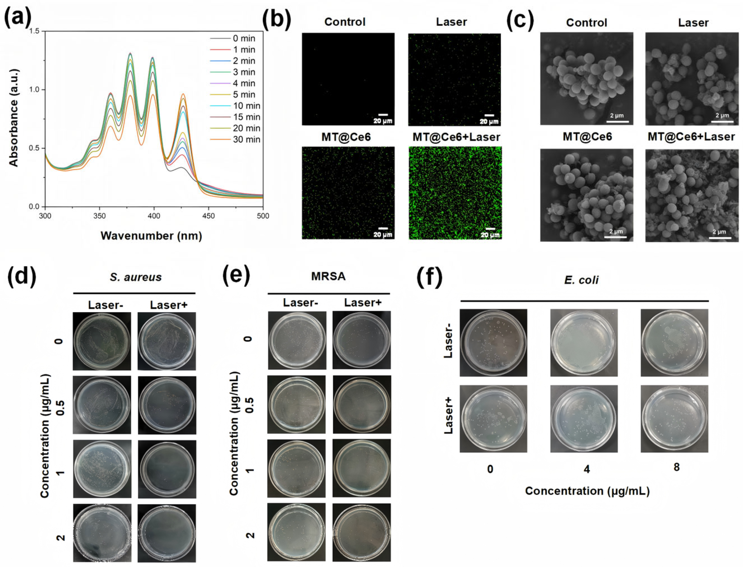 Nanomaterials 15 01075 g003 Nanomaterials 15 01075 g003