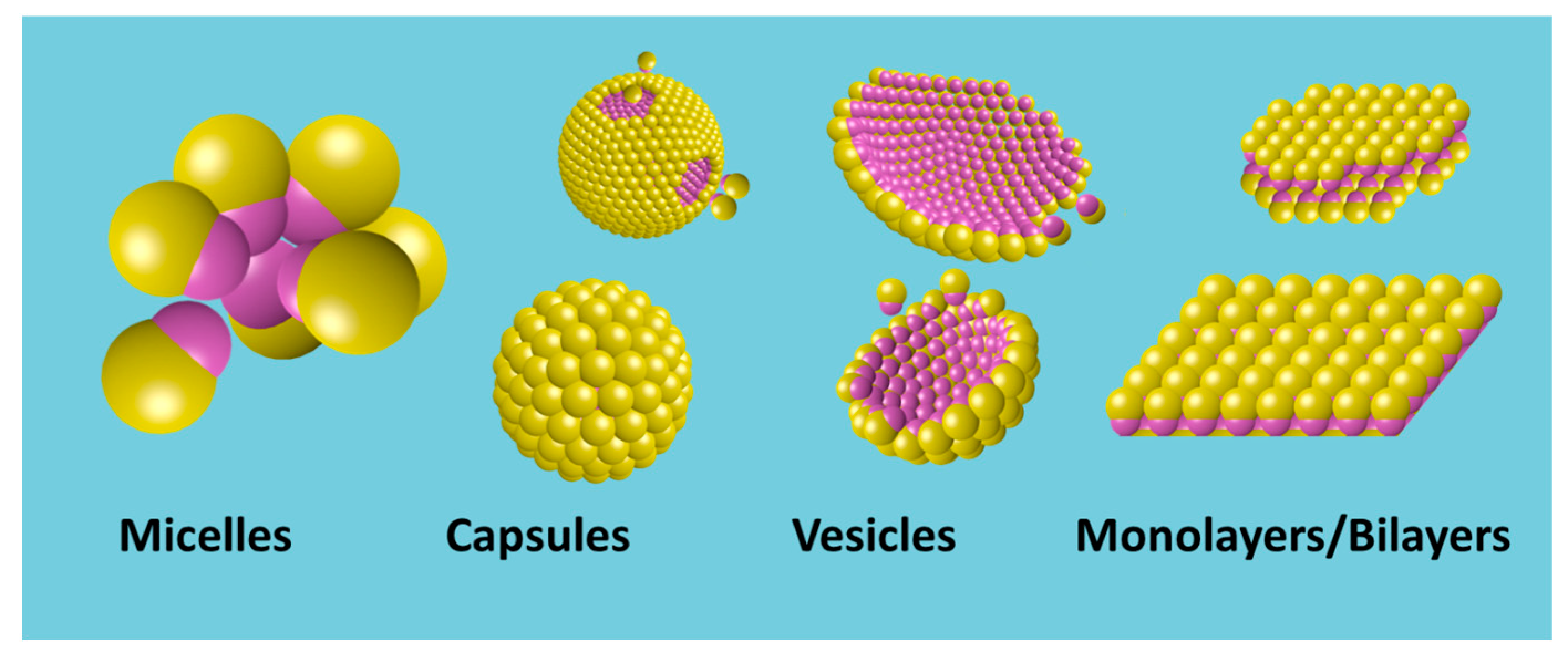 Nanomaterials 15 01079 g007