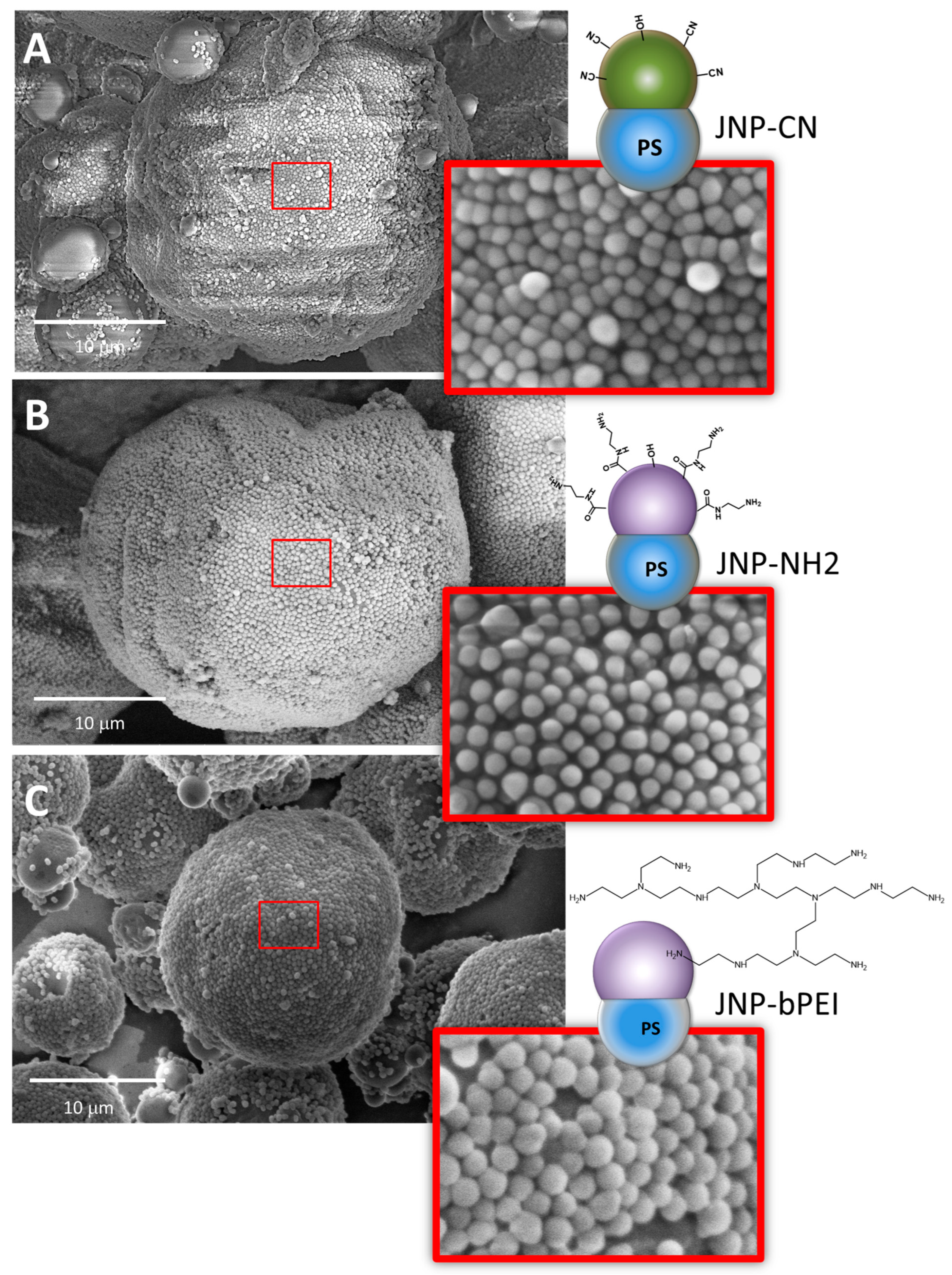 Nanomaterials 15 01079 g014