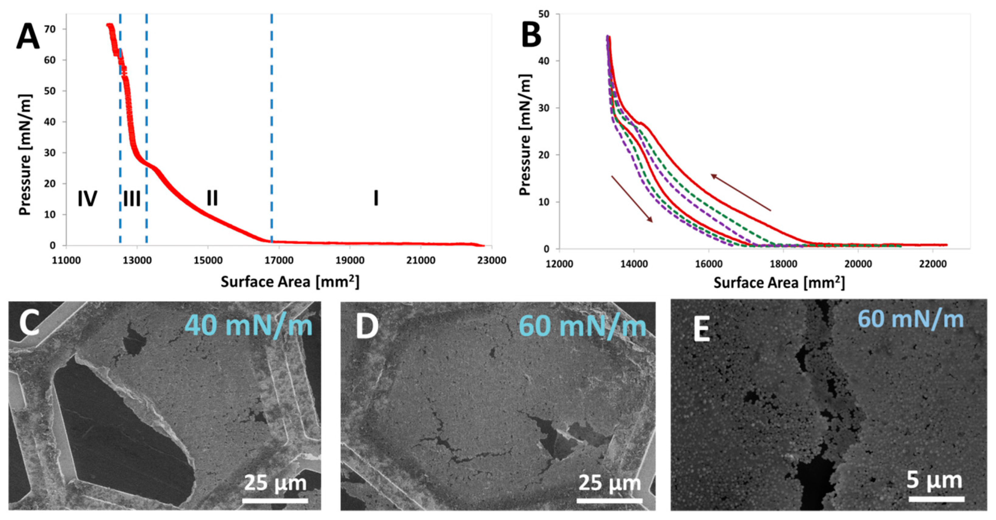 Nanomaterials 15 01079 g016
