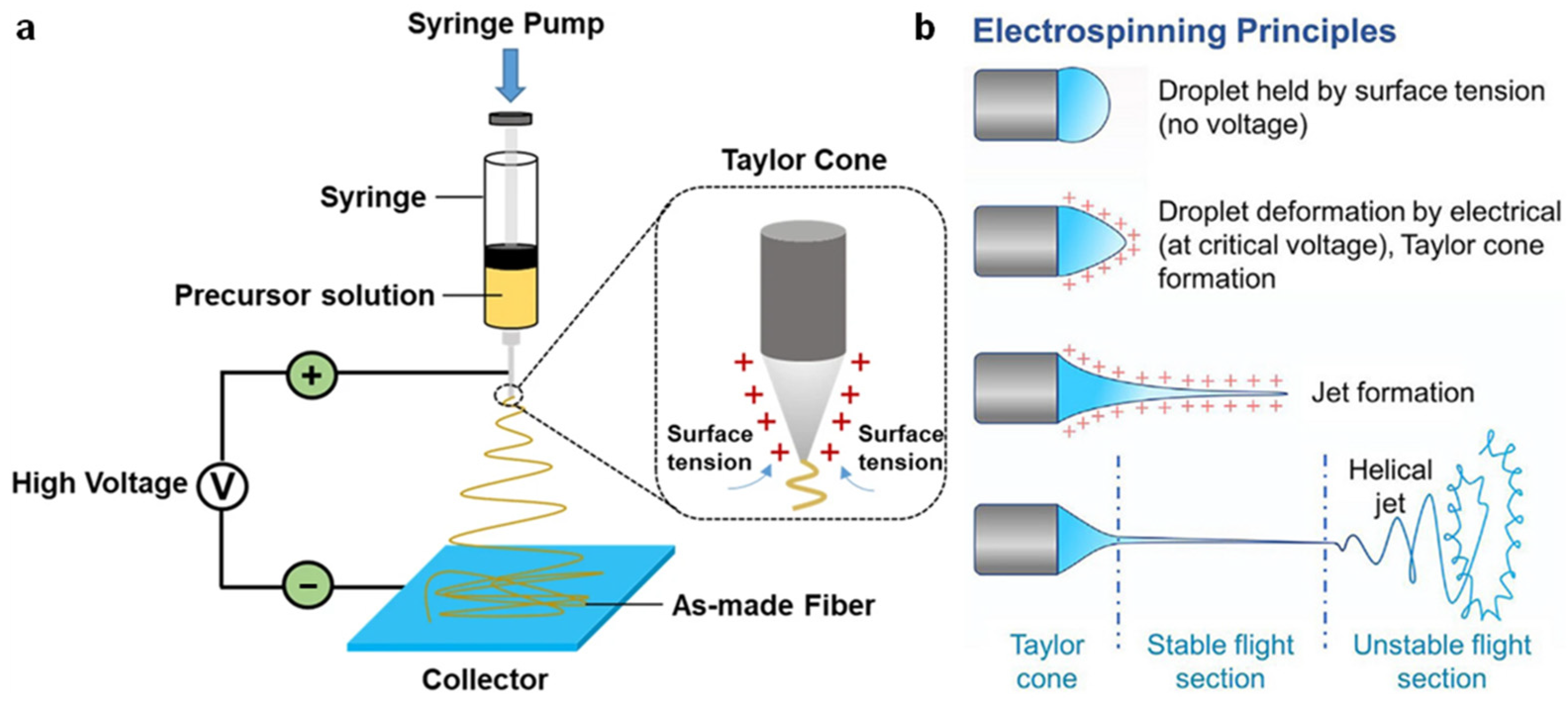 Nanomaterials 15 01080 g003