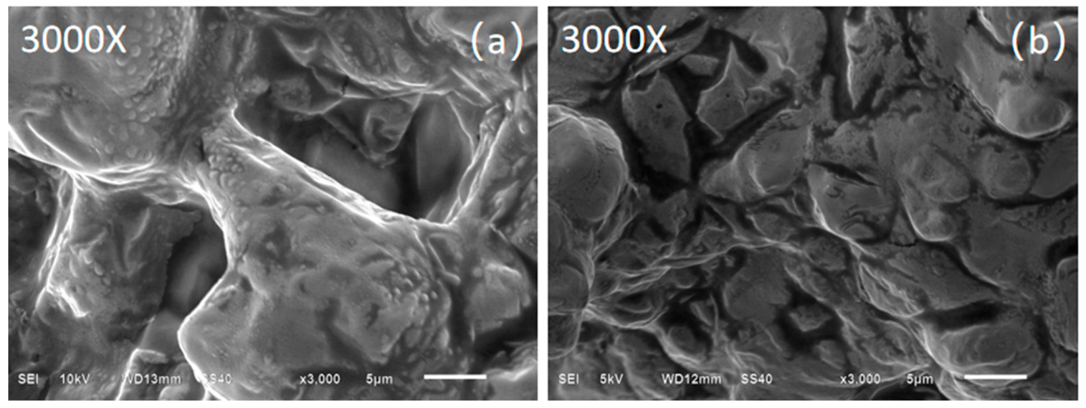 Nanomaterials 15 01094 g008