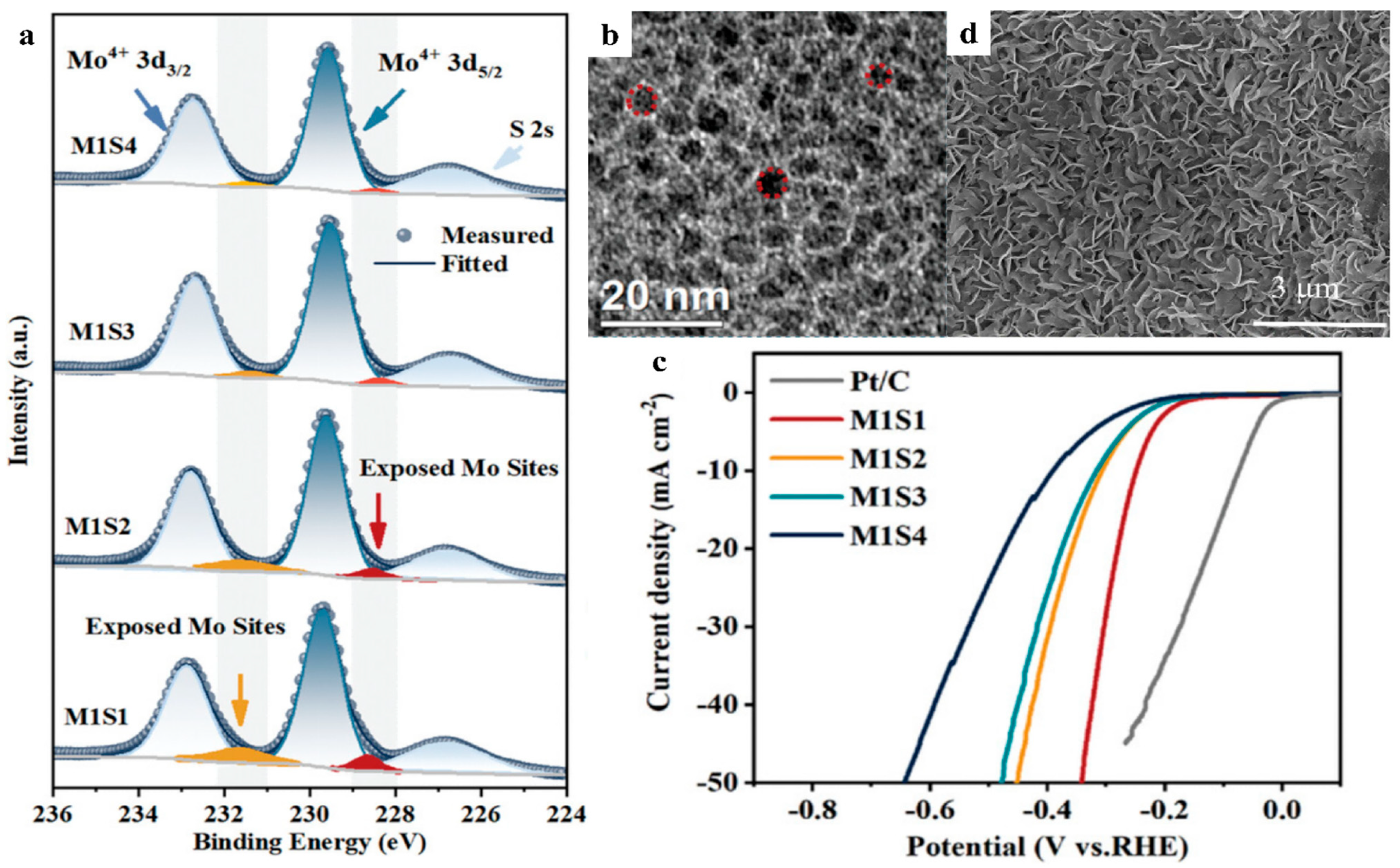 Nanomaterials 15 01106 g004