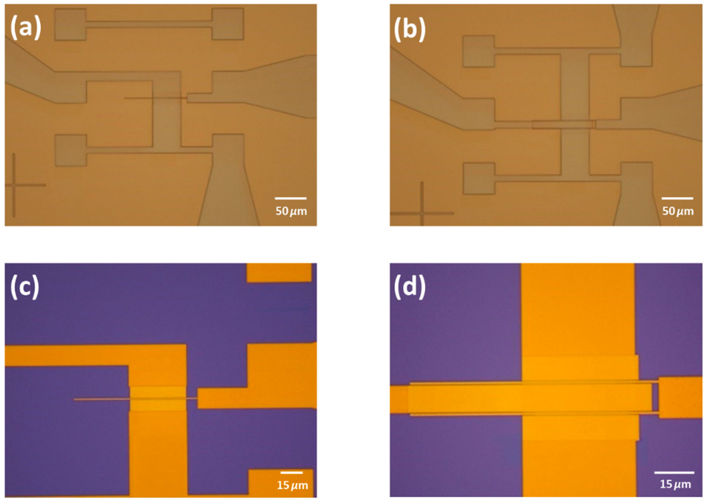 Nanomaterials 15 01119 g002