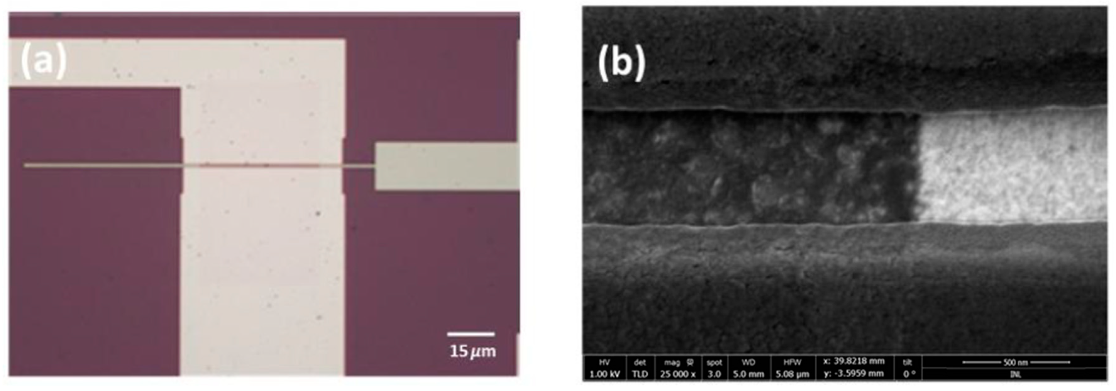 Nanomaterials 15 01119 g008