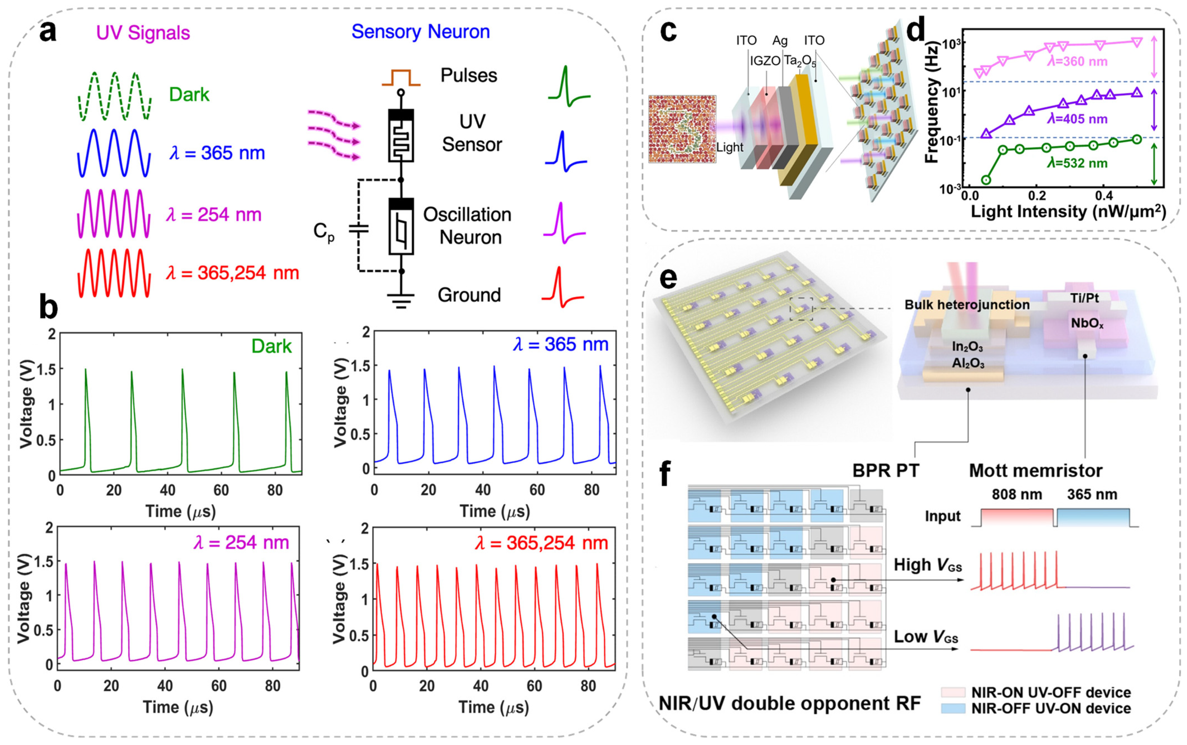 Nanomaterials 15 01130 g004