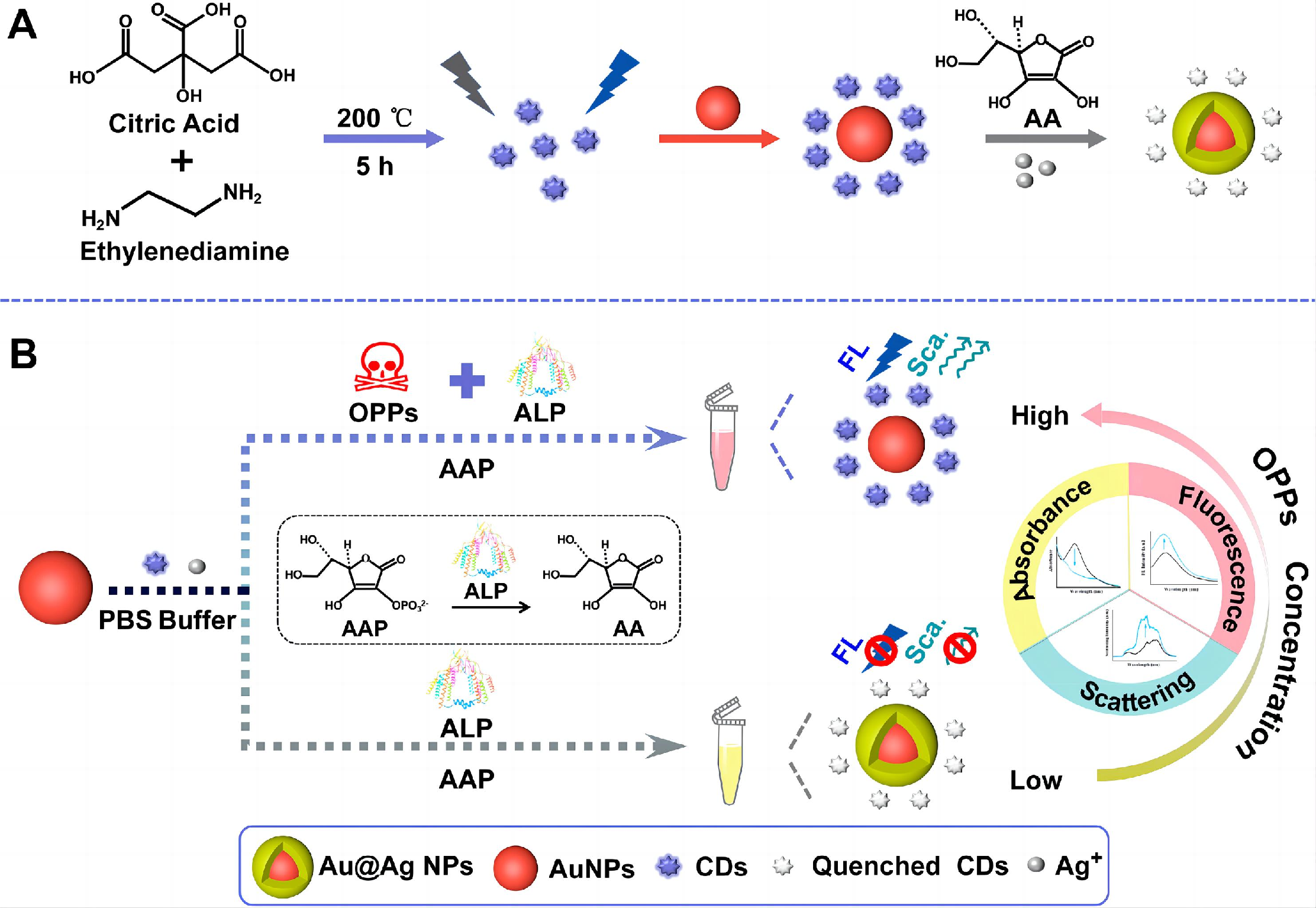 Nanomaterials 15 01132 g012