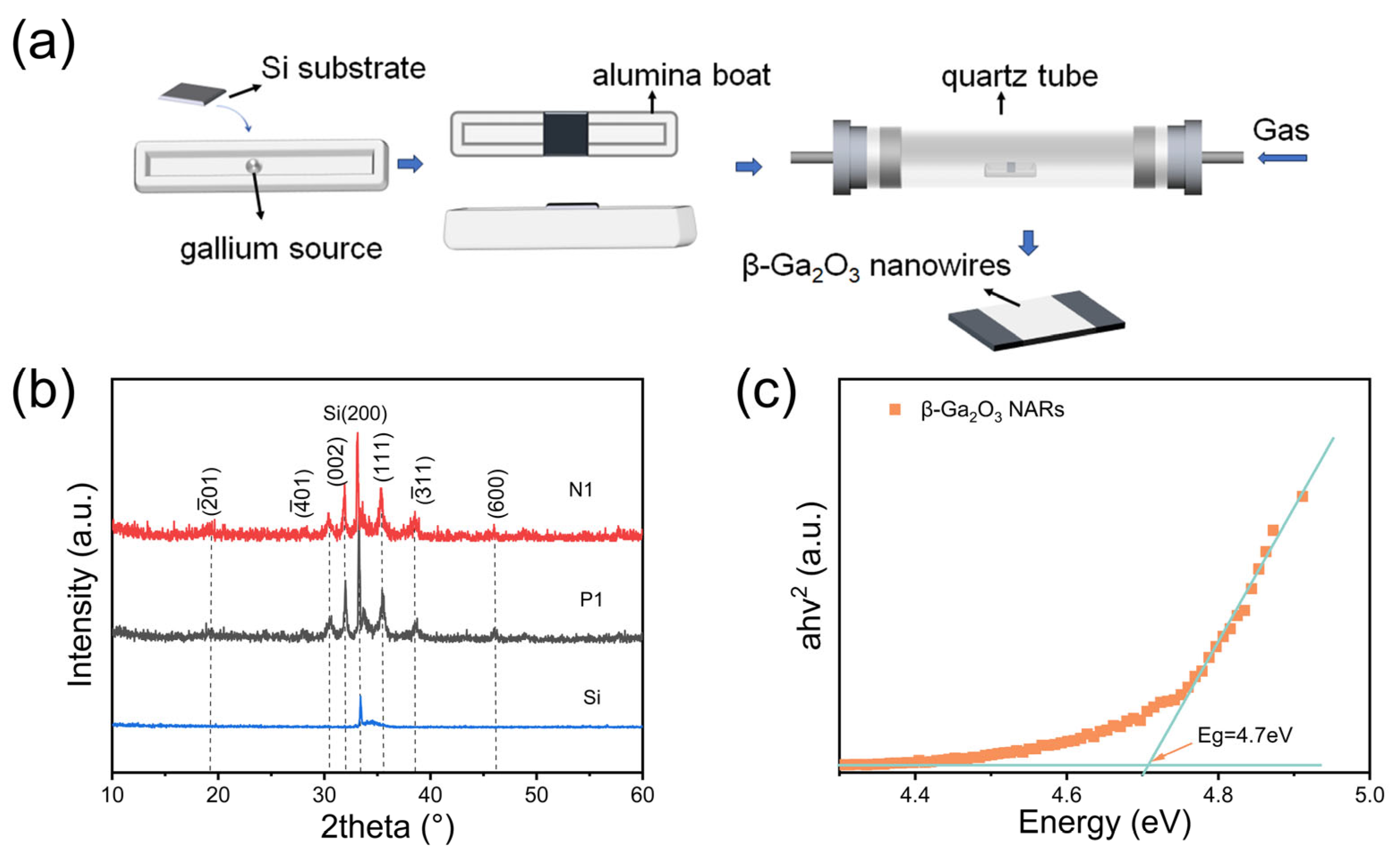 Nanomaterials 15 01137 g001