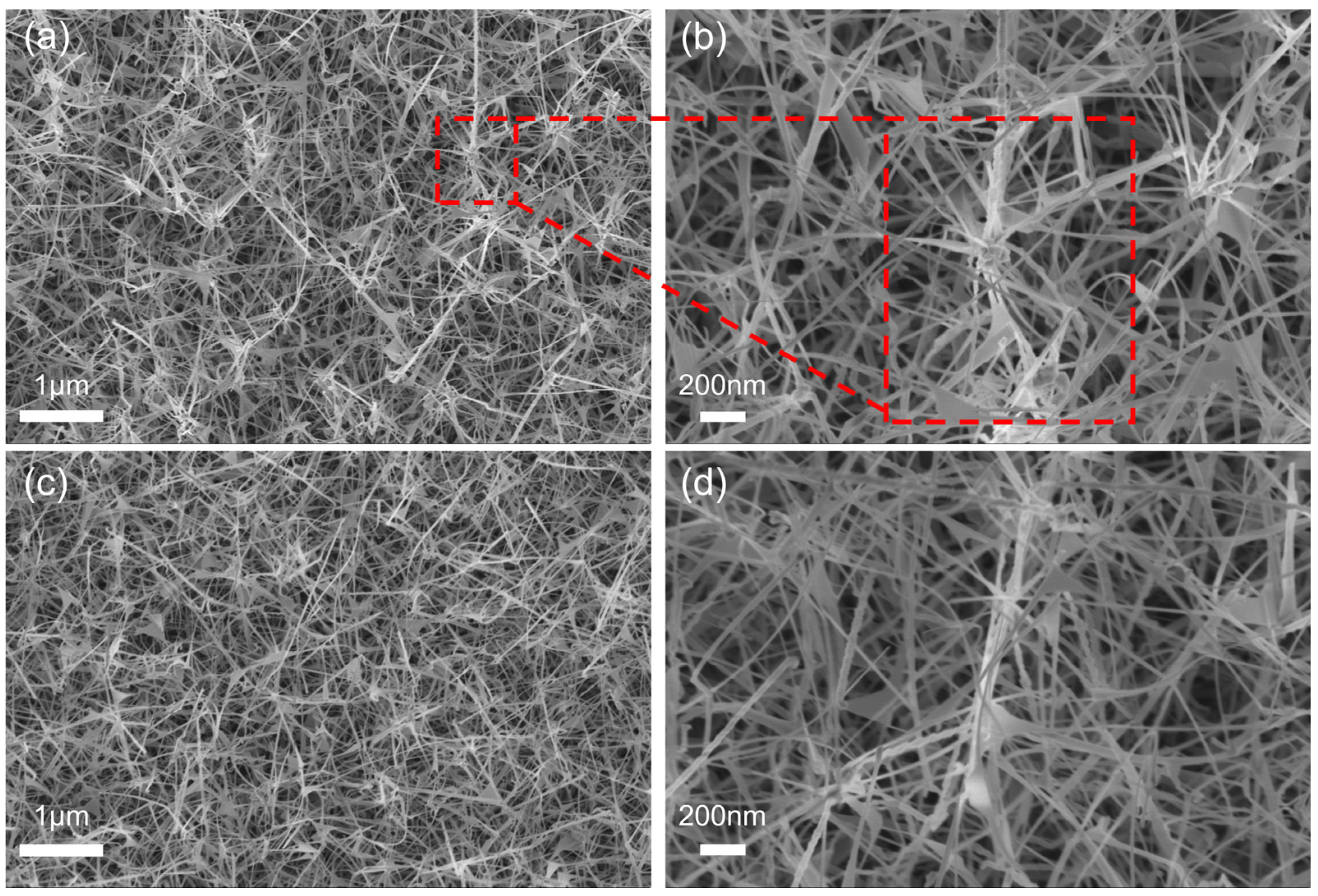 Nanomaterials 15 01137 g002