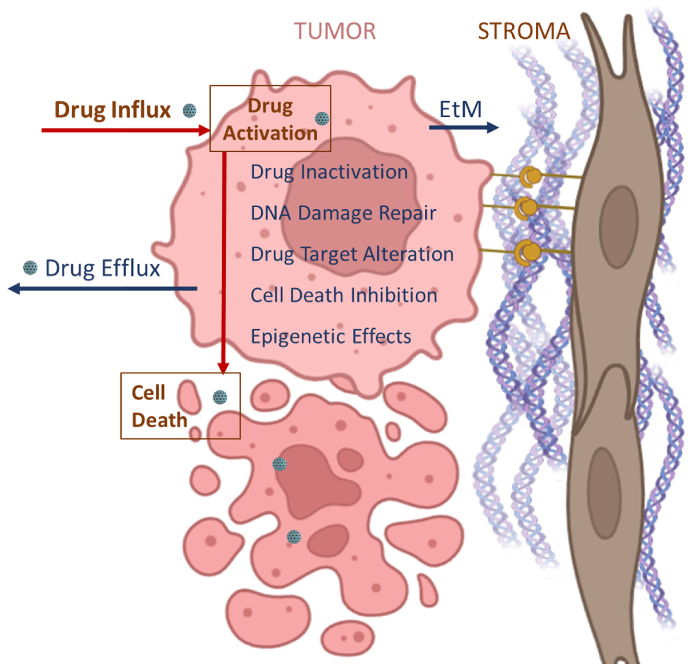 Nanomaterials 15 01139 g003