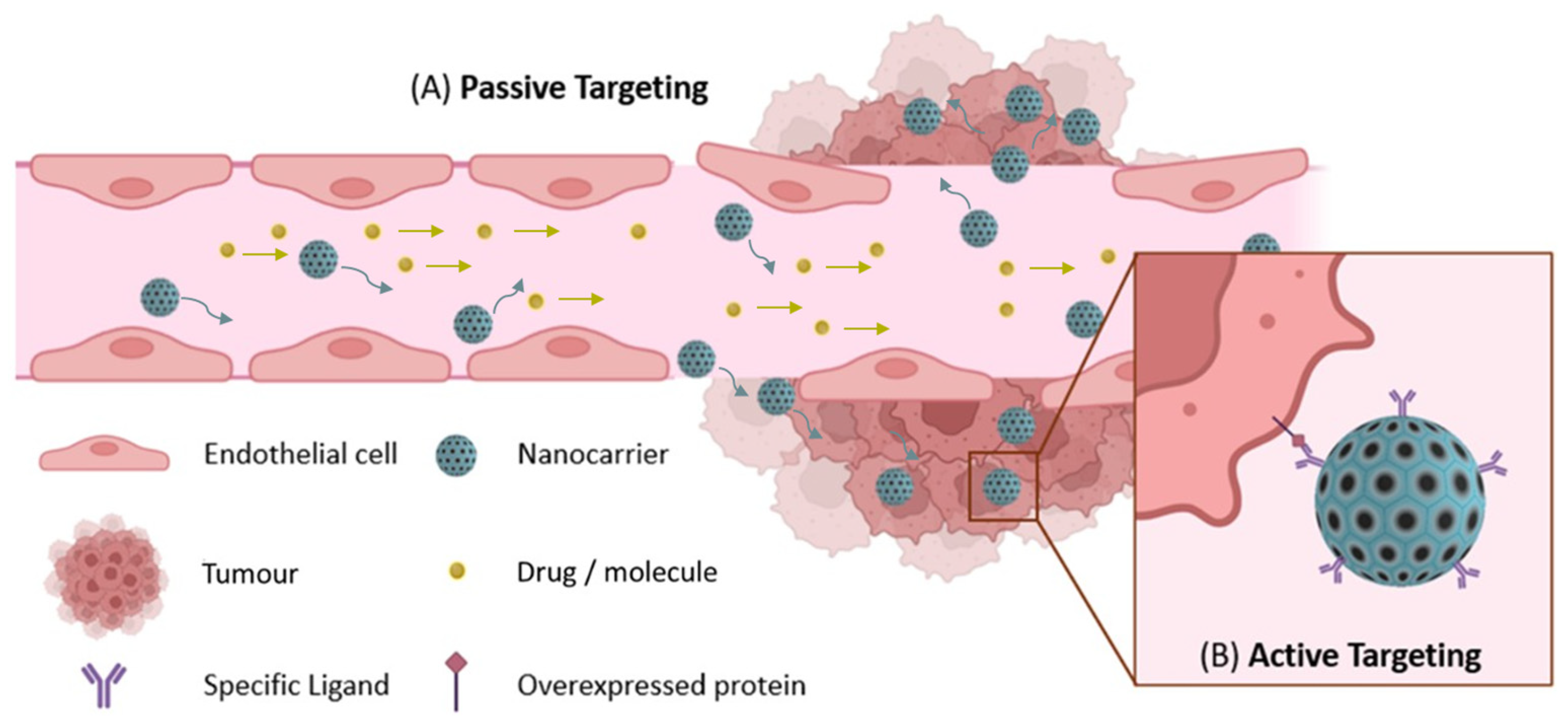 Nanomaterials 15 01139 g004