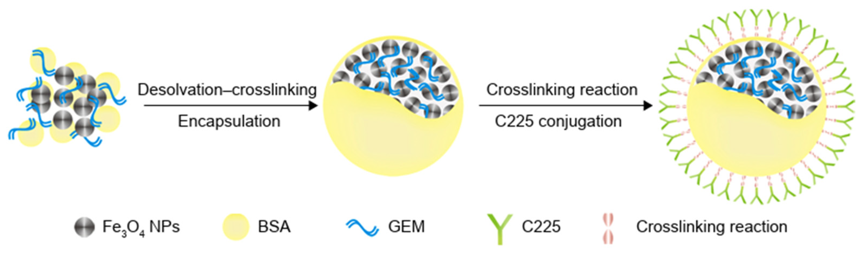Nanomaterials 15 01139 g007