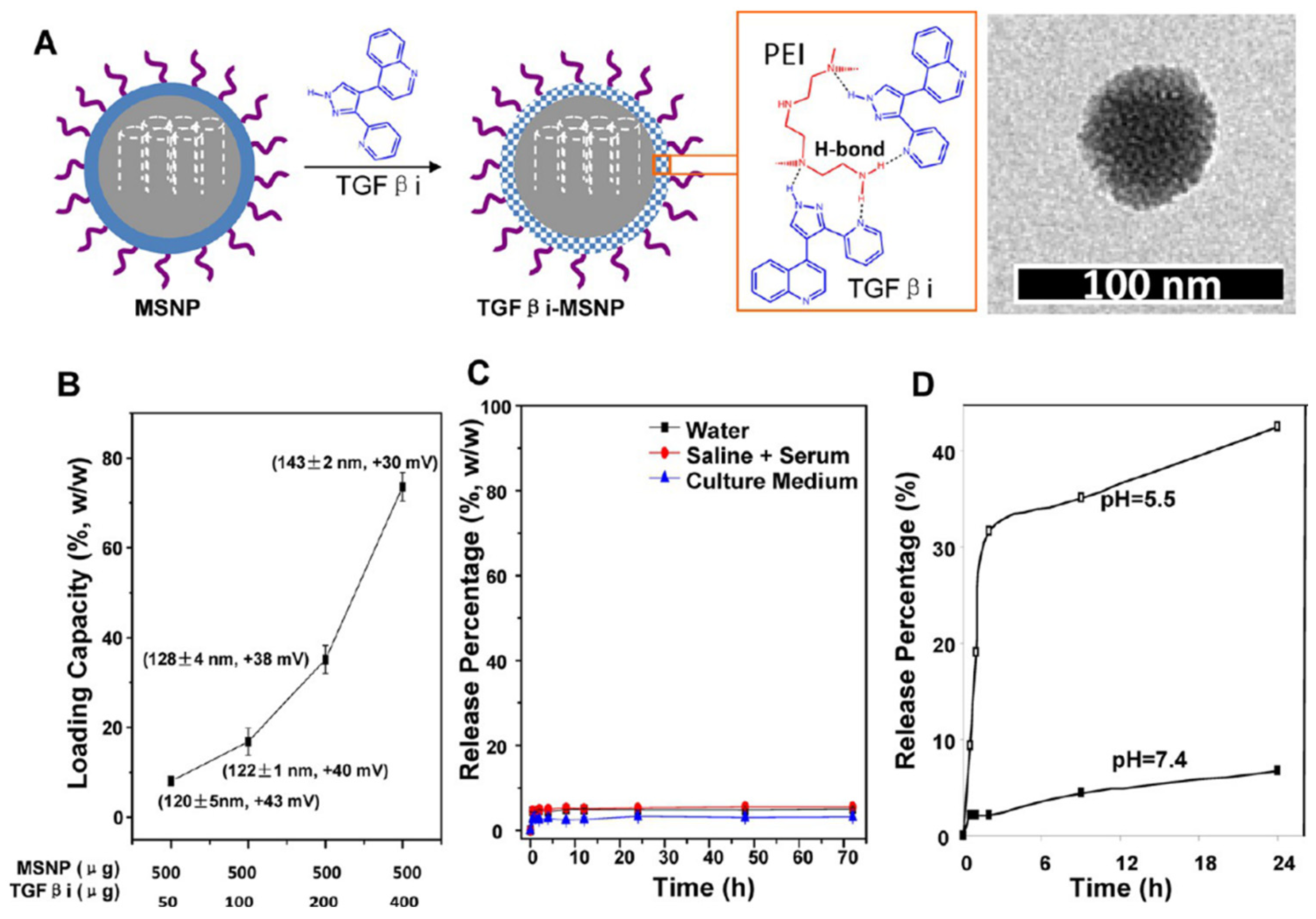 Nanomaterials 15 01139 g008