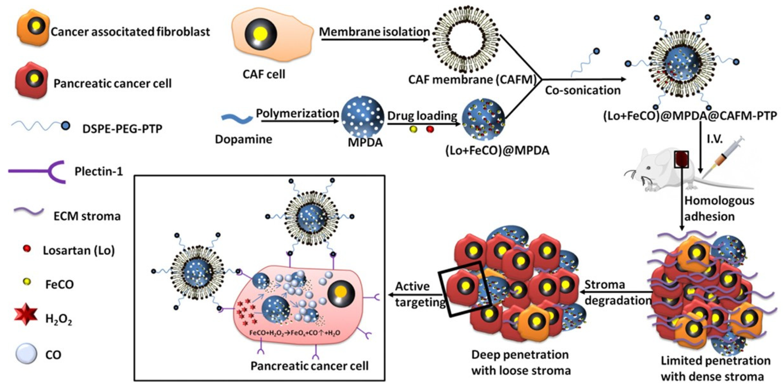 Nanomaterials 15 01139 g009