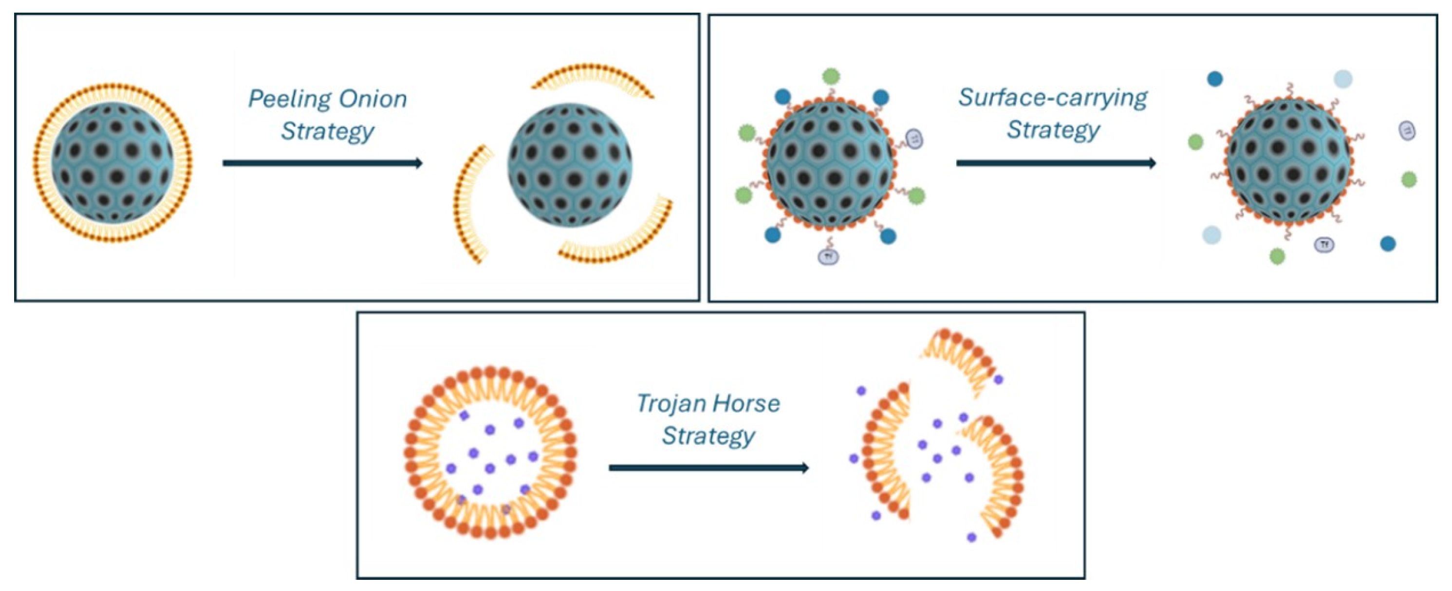 Nanomaterials 15 01139 g010
