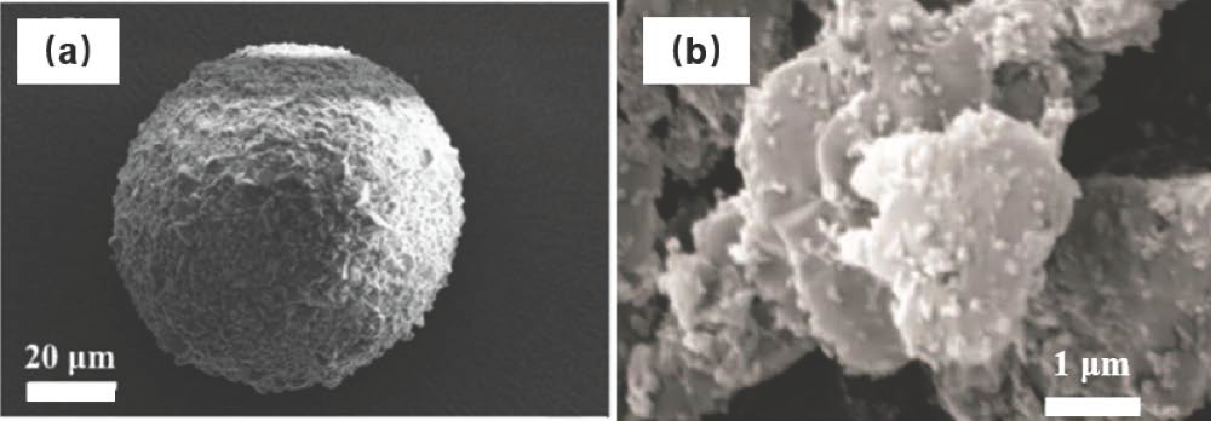 Nanomaterials 15 01140 g006