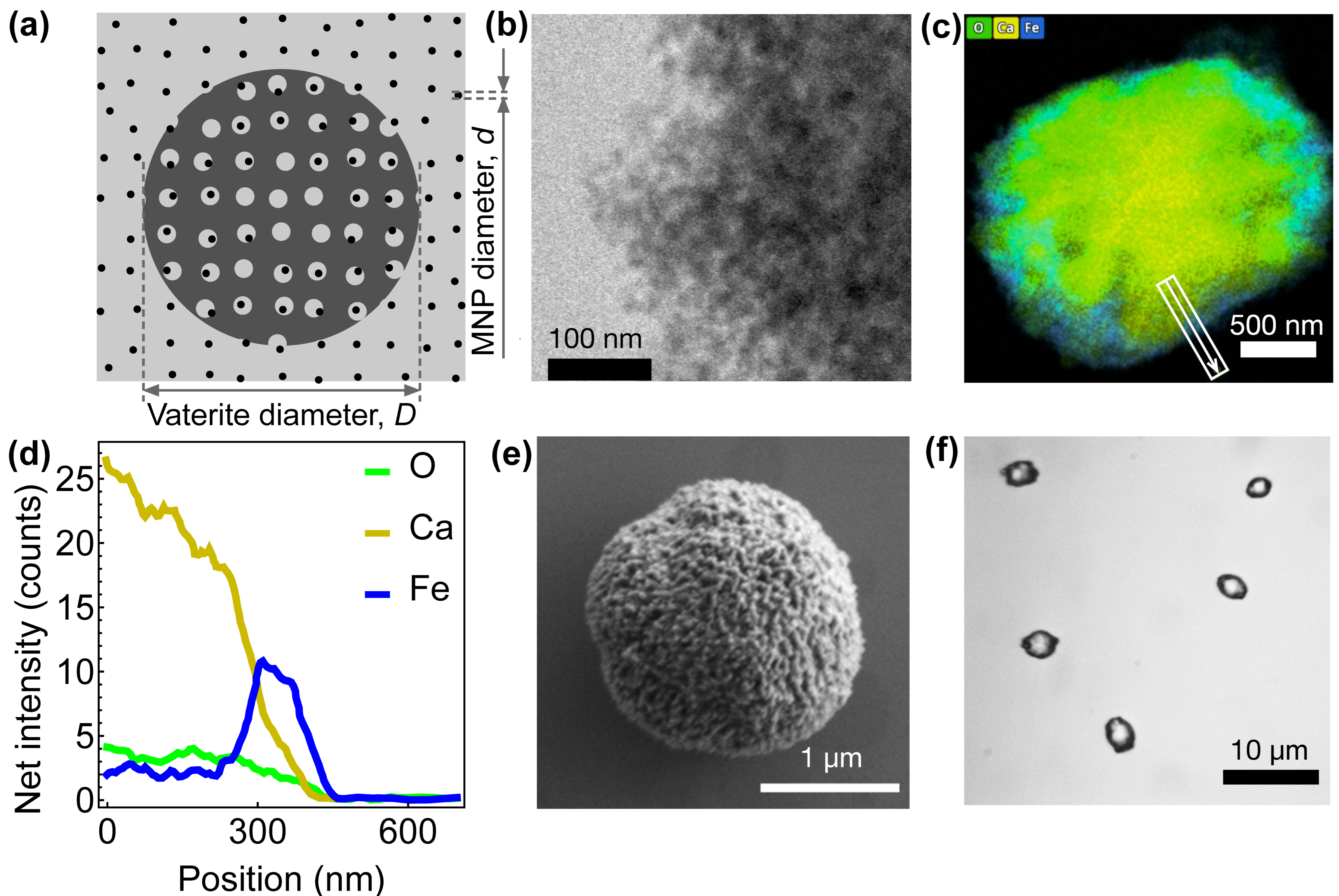 Nanomaterials 15 01141 g001
