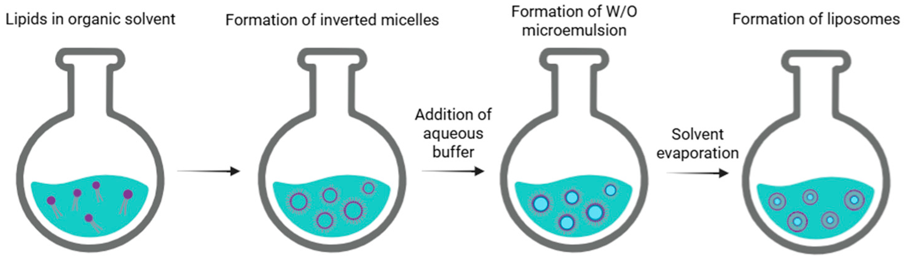 Nanomaterials 15 01149 g003