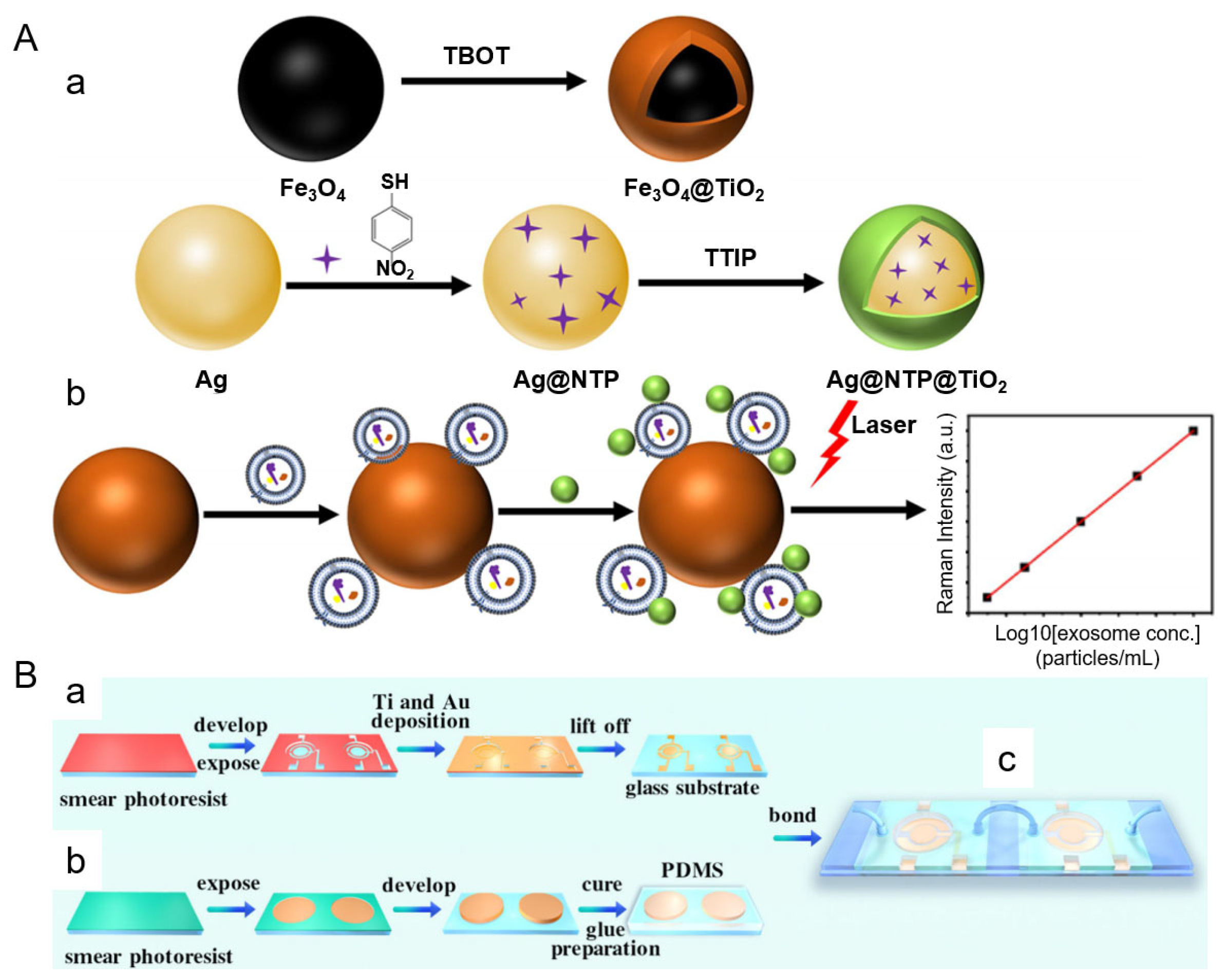 Nanomaterials 15 01153 g006
