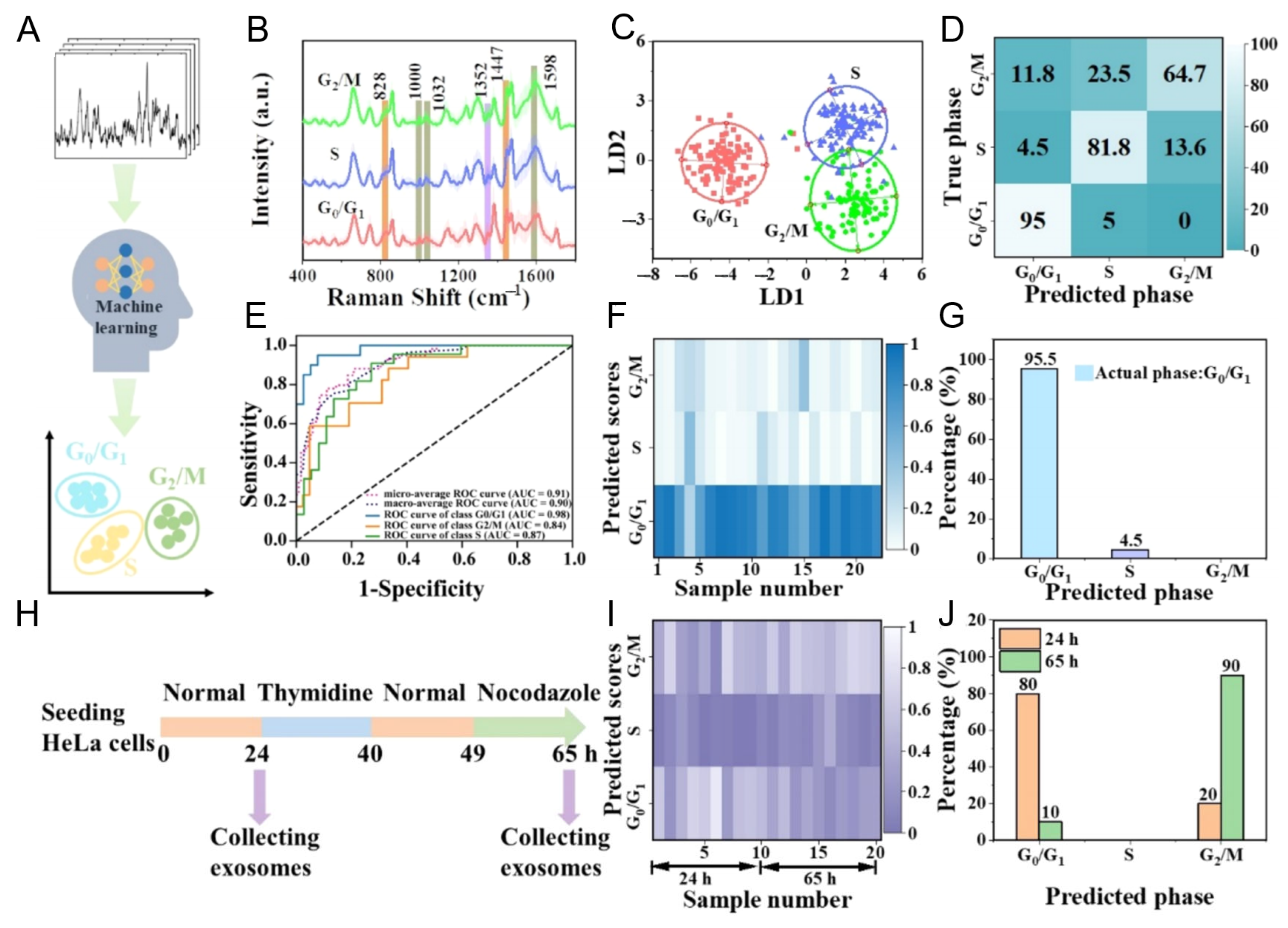 Nanomaterials 15 01153 g008