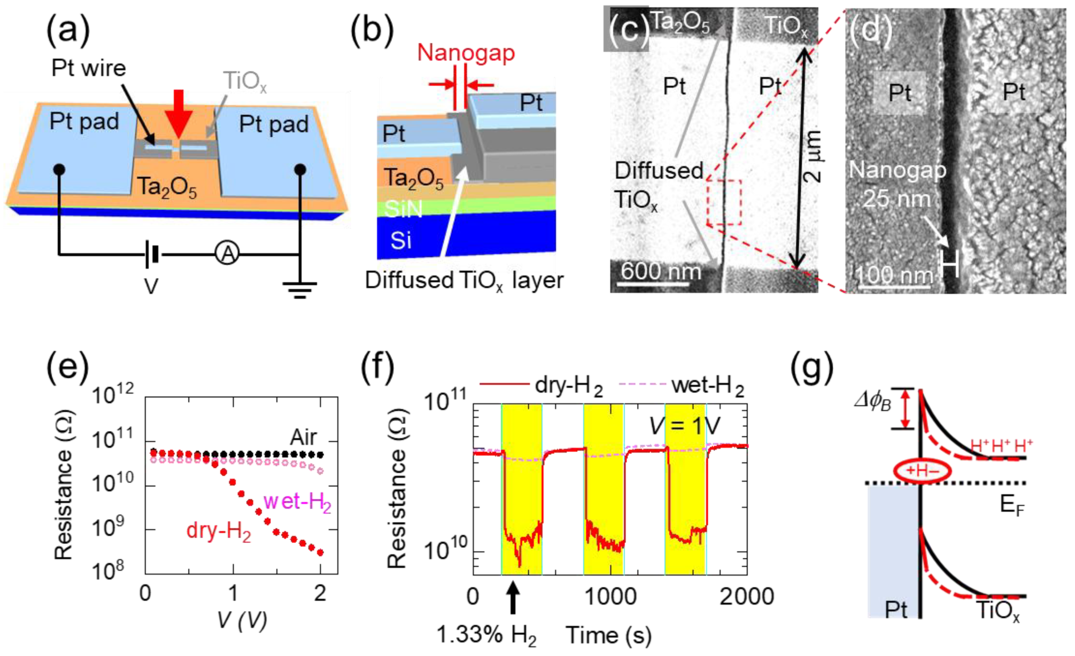 Nanomaterials 15 01154 g001