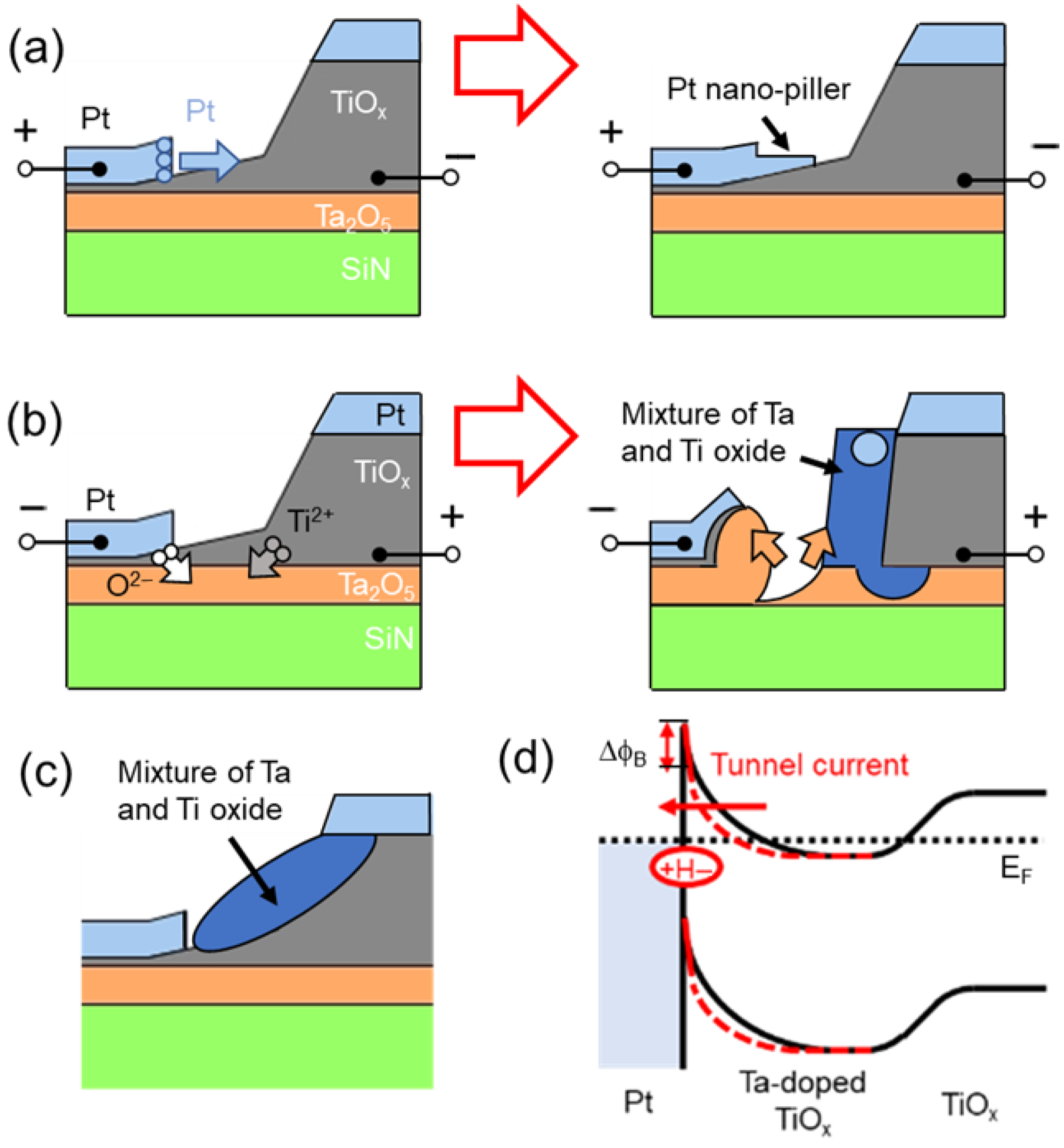 Nanomaterials 15 01154 g004