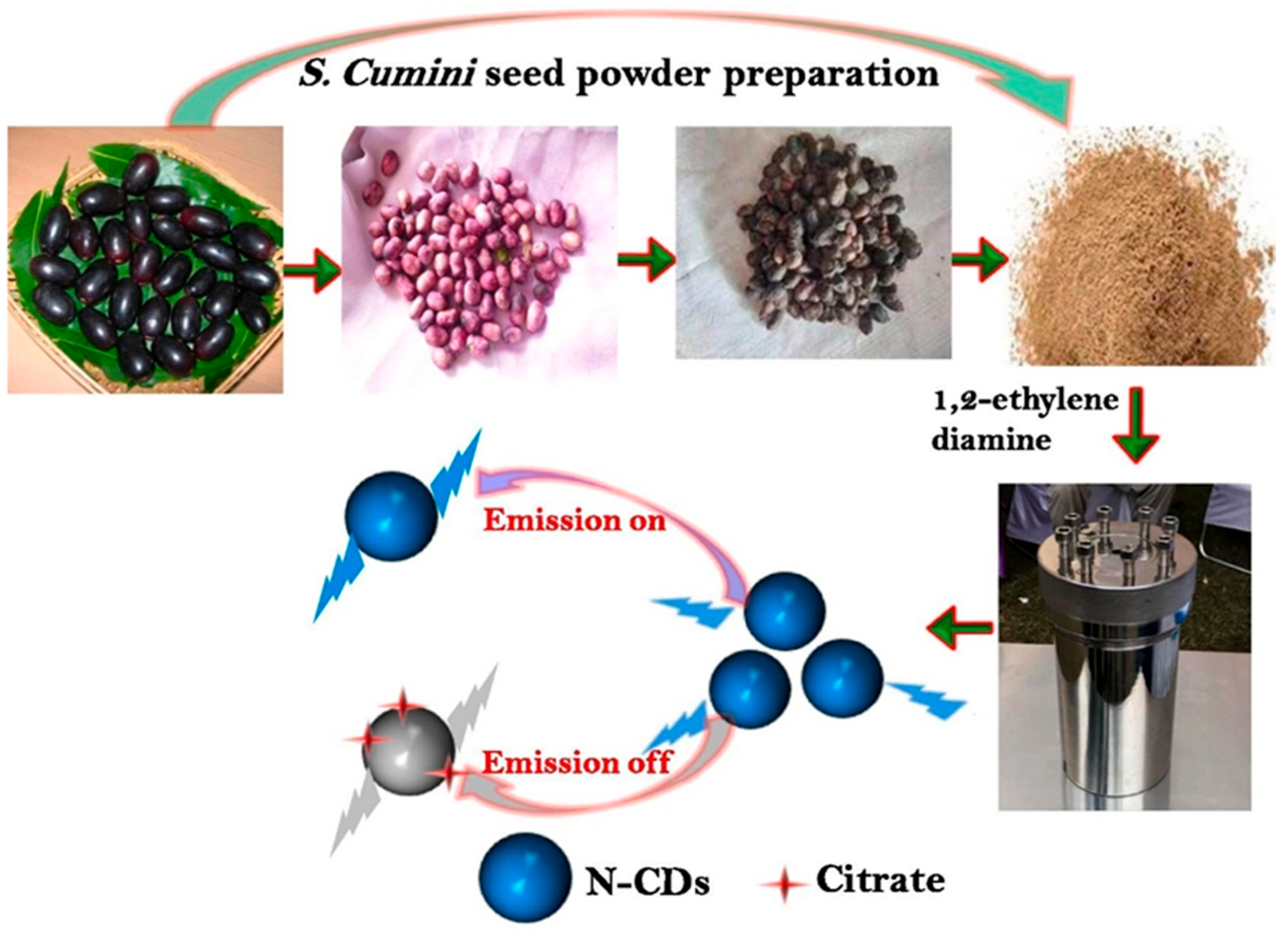Nanomaterials 15 01162 g001