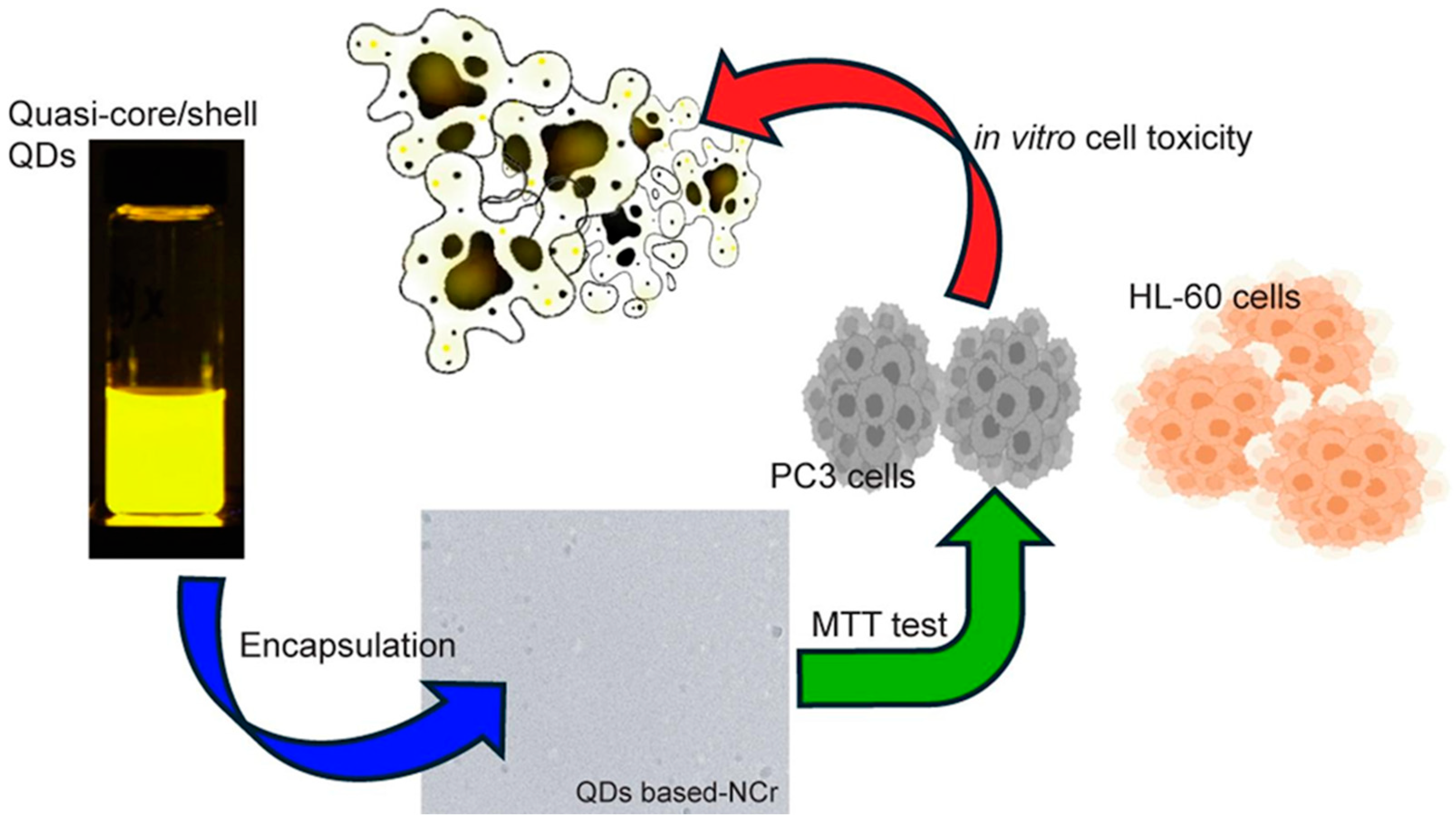 Nanomaterials 15 01162 g002