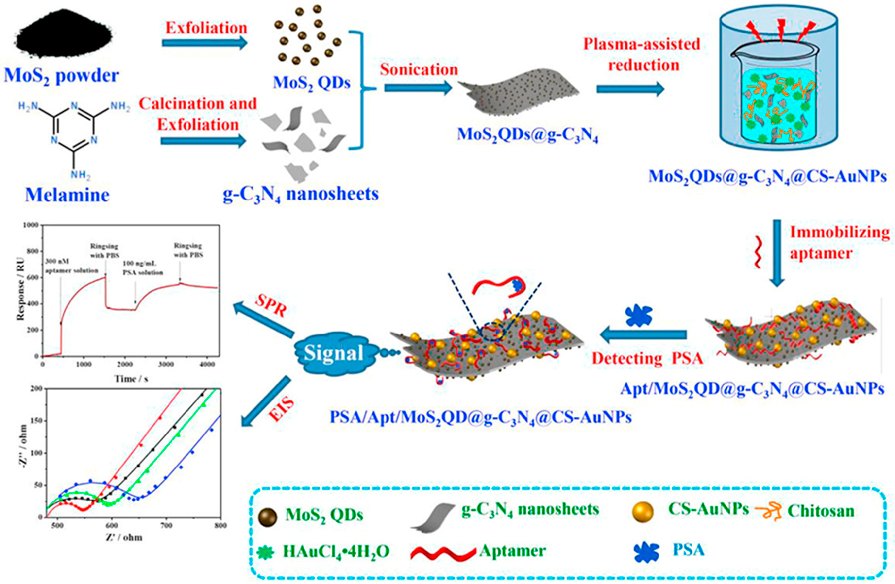 Nanomaterials 15 01162 g005