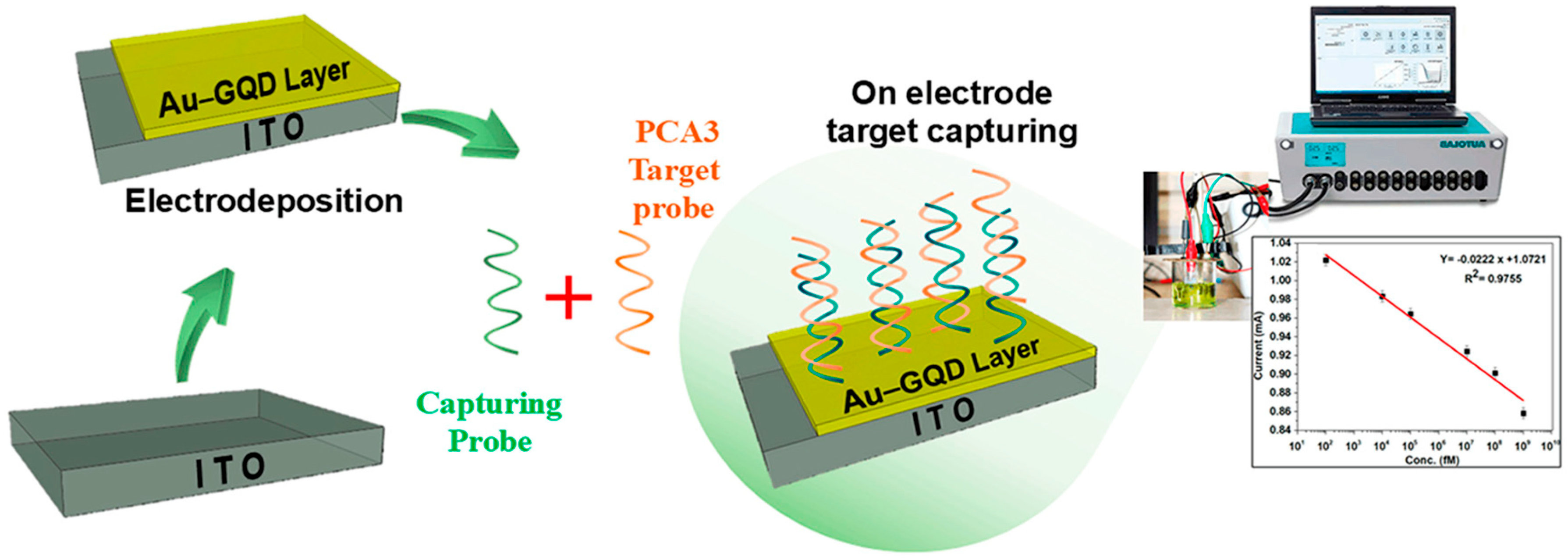 Nanomaterials 15 01162 g006