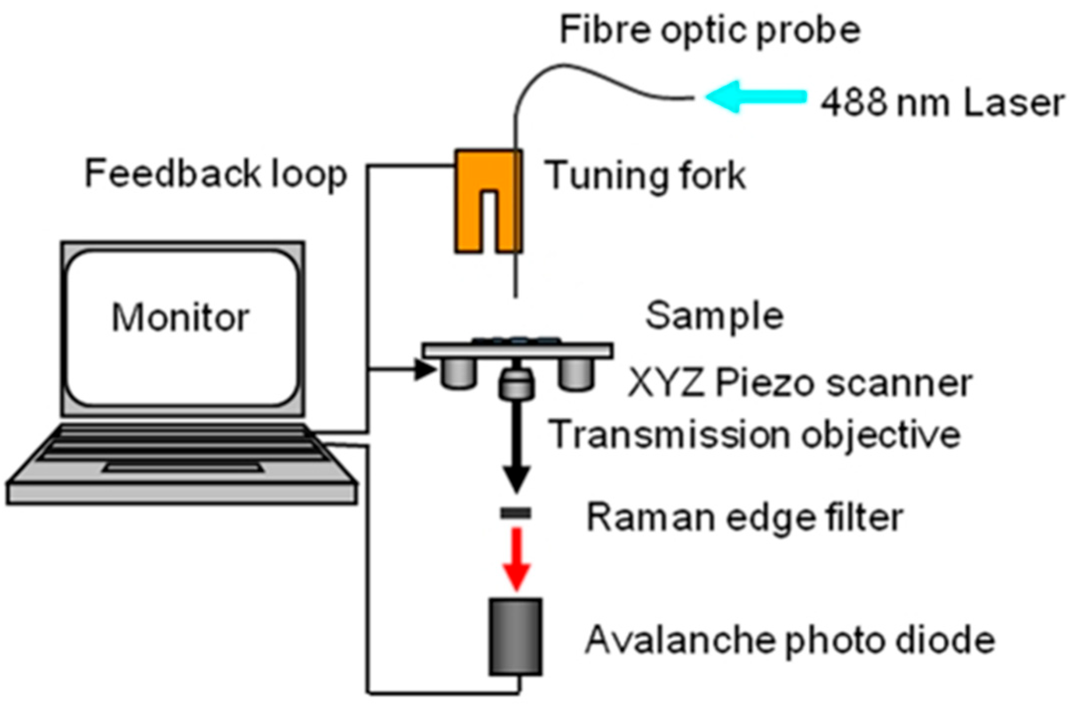 Nanomaterials 15 01162 g007