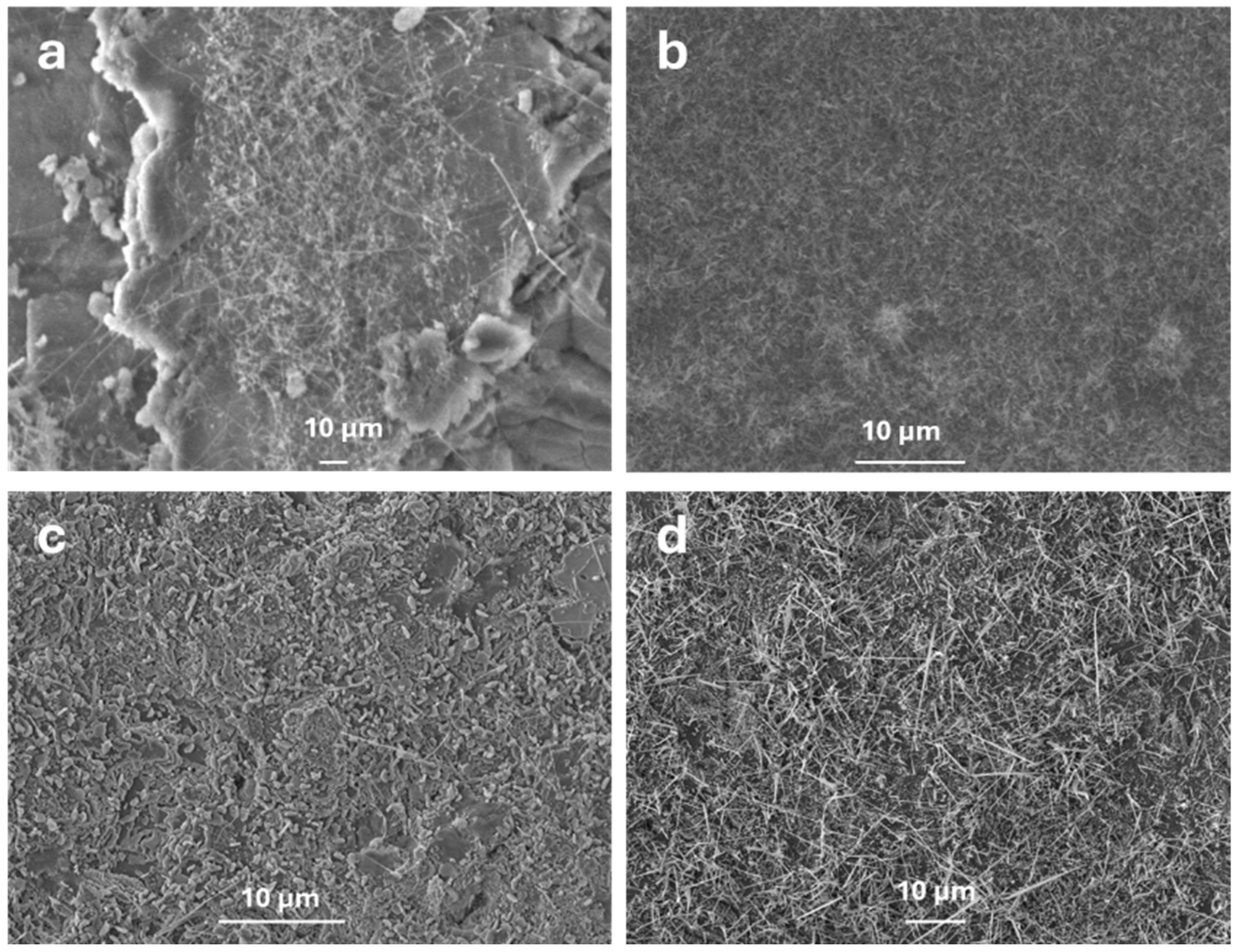 Nanomaterials 15 01169 g004