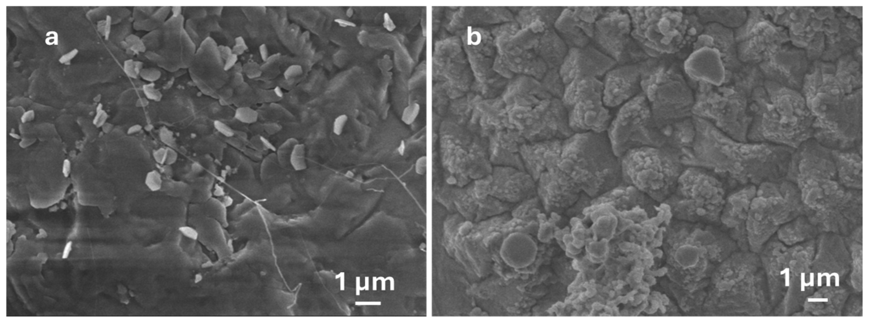 Nanomaterials 15 01169 g007