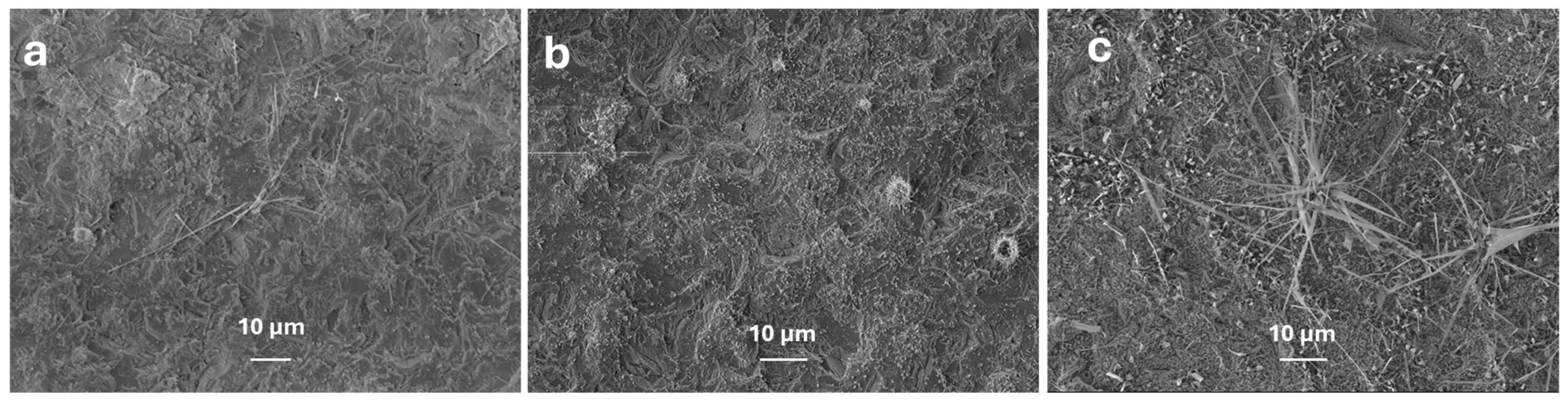 Nanomaterials 15 01169 g008