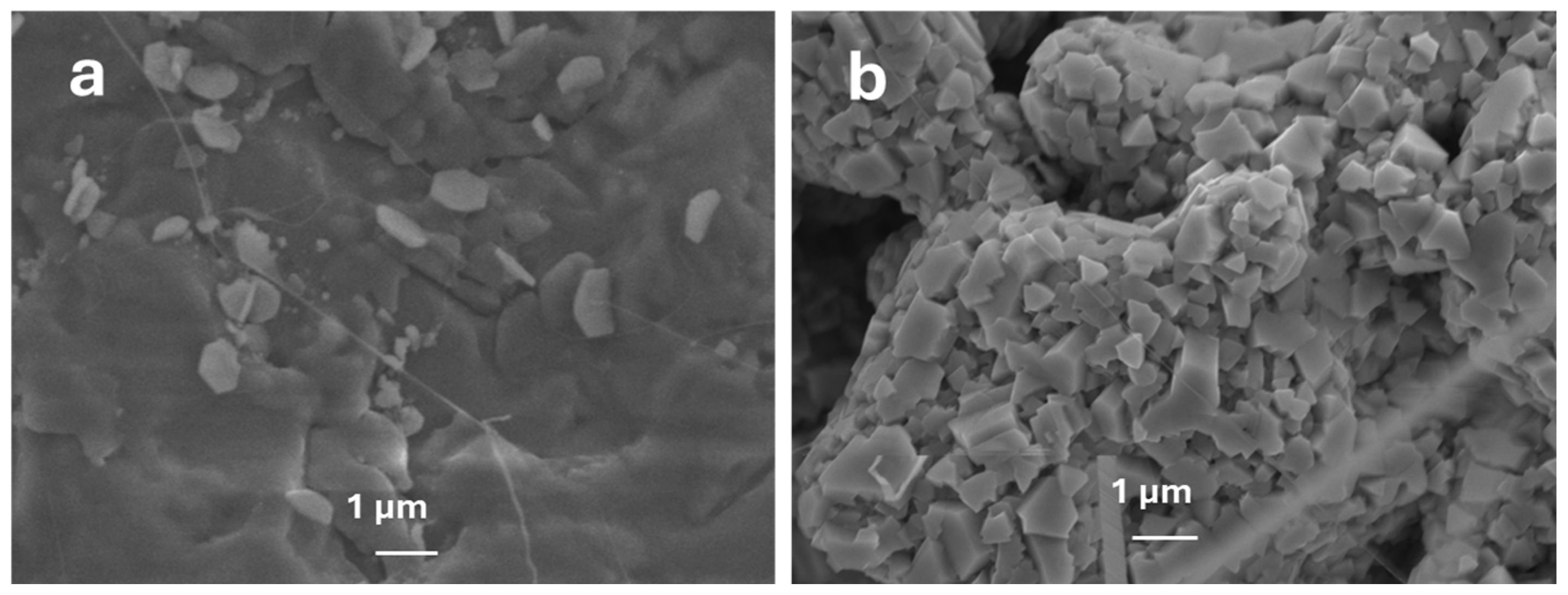 Nanomaterials 15 01169 g010