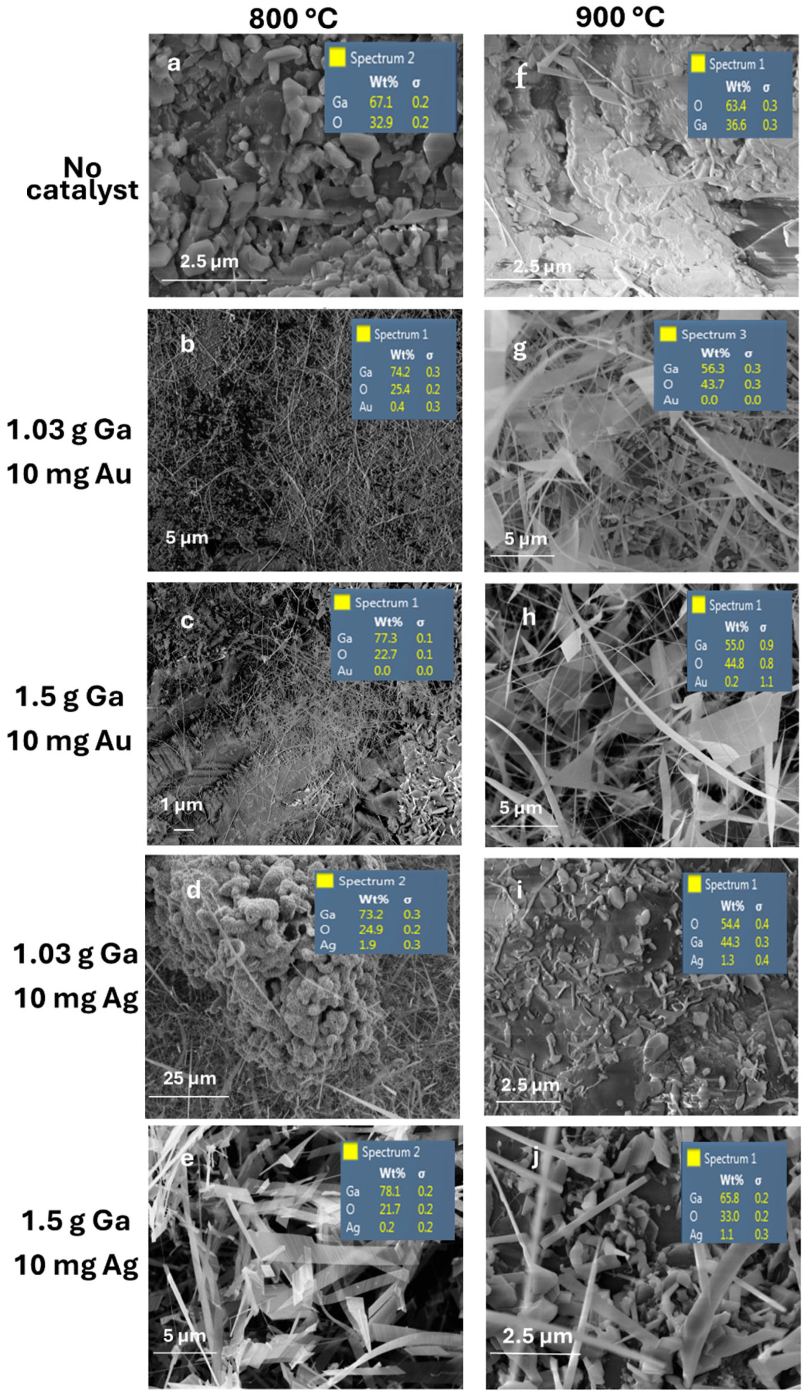 Nanomaterials 15 01169 g012