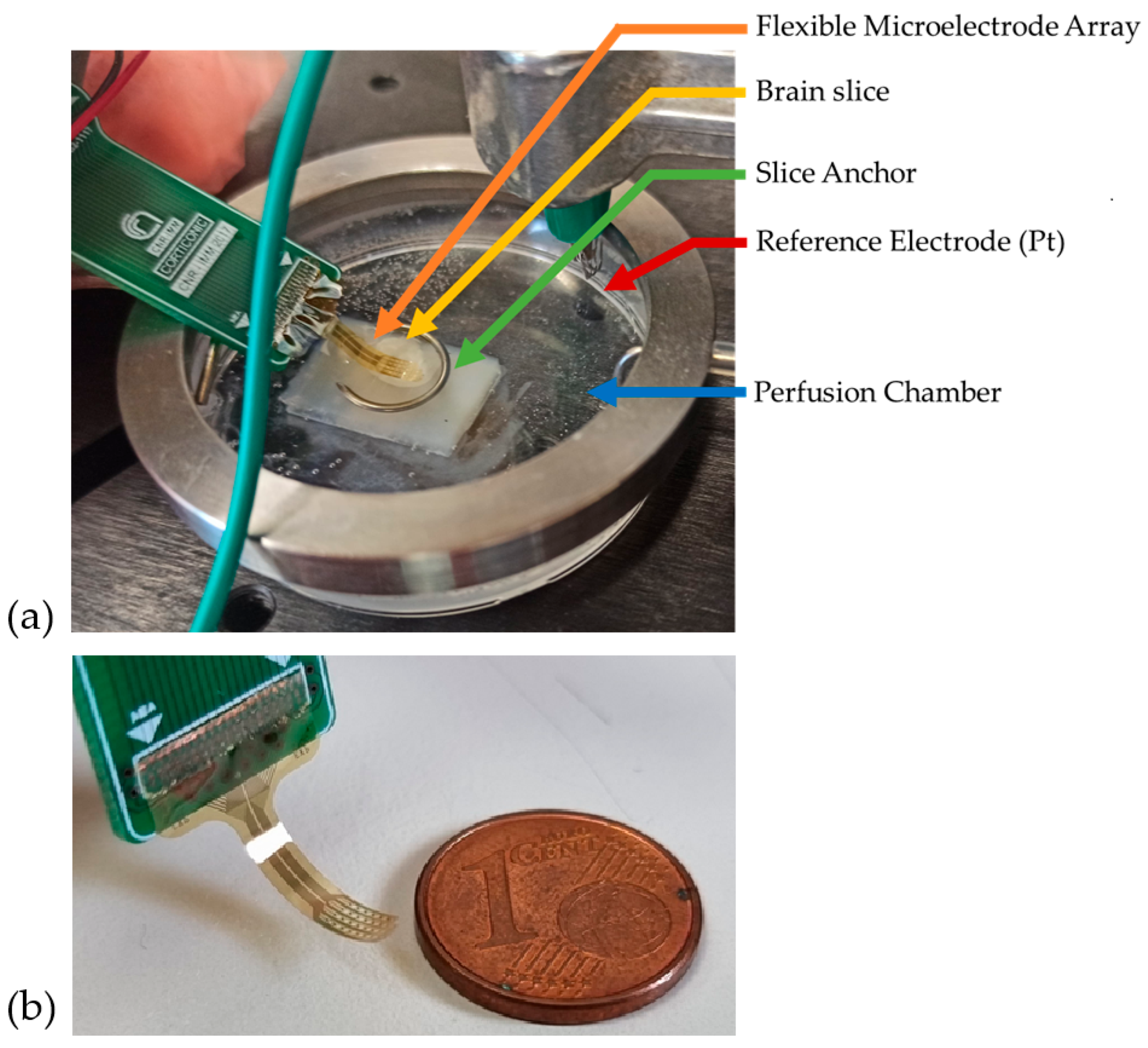 Nanomaterials 15 01173 g001