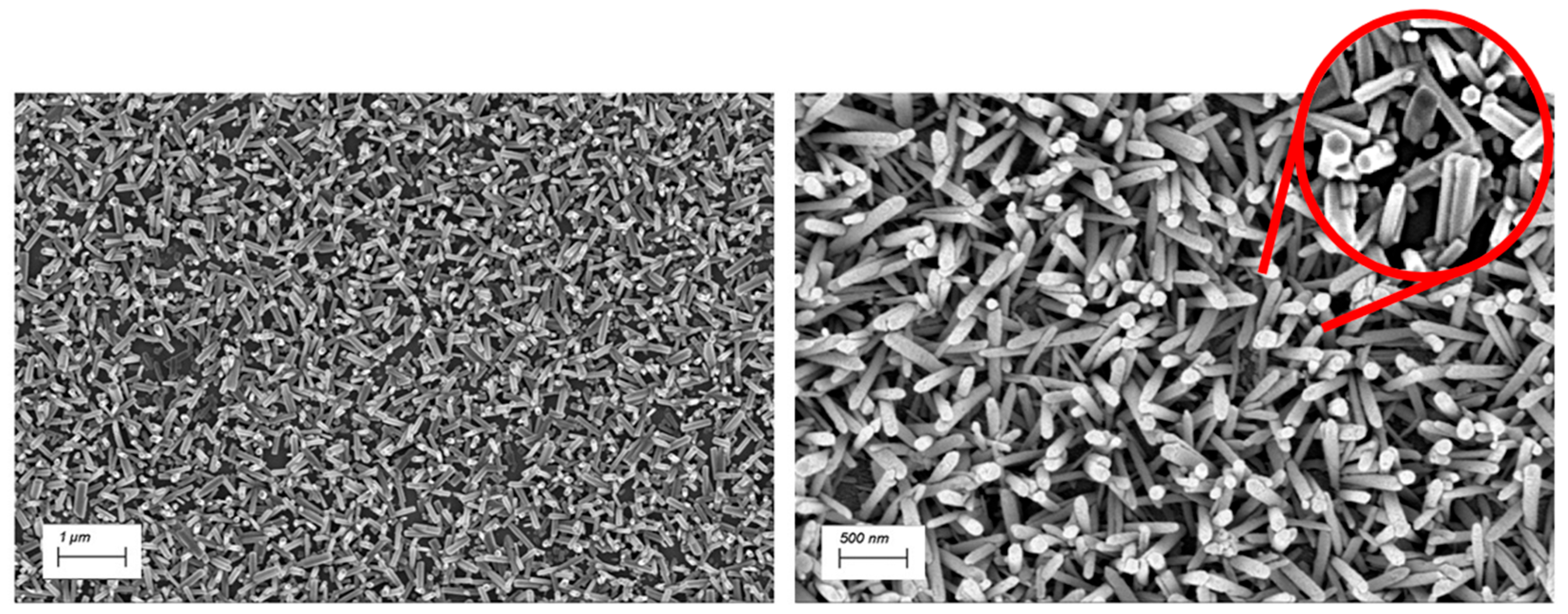 Nanomaterials 15 01173 g002