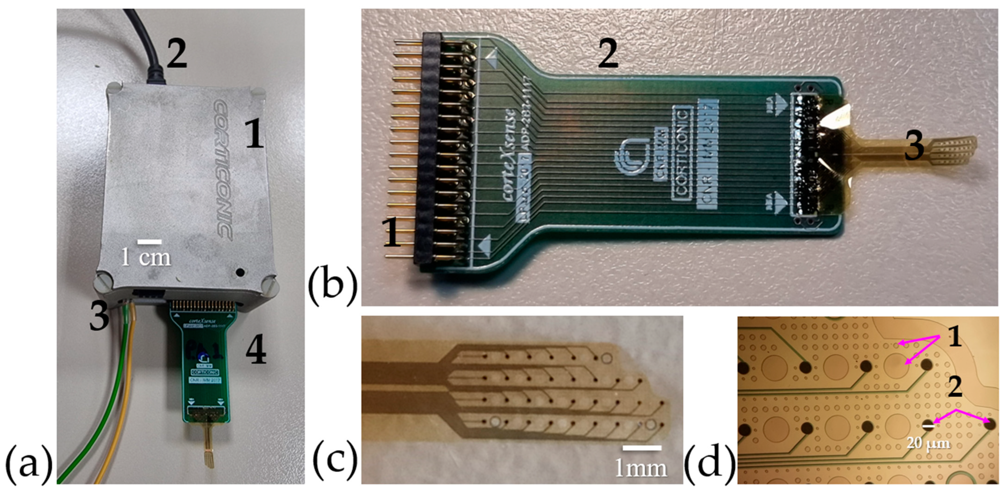 Nanomaterials 15 01173 g006