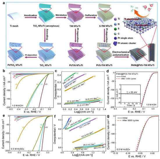 Single-Atom Catalysts for Hydrogen Evolution Reaction: The