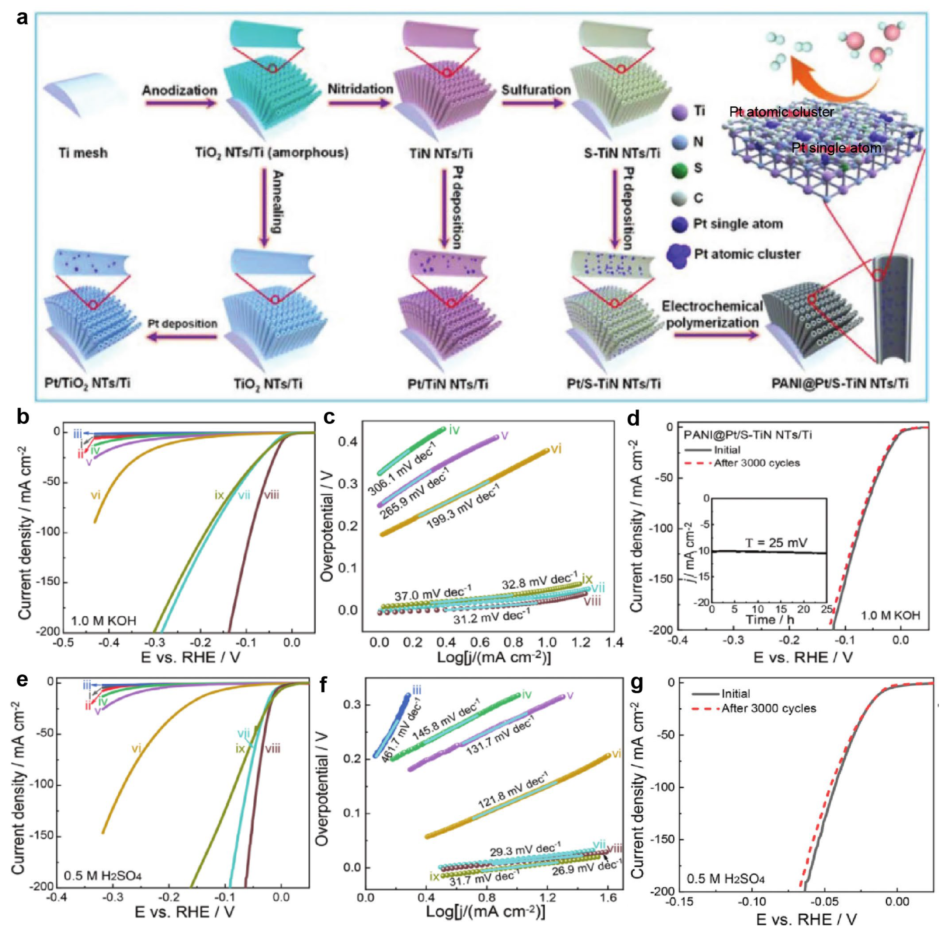 Nanomaterials 15 01175 g002