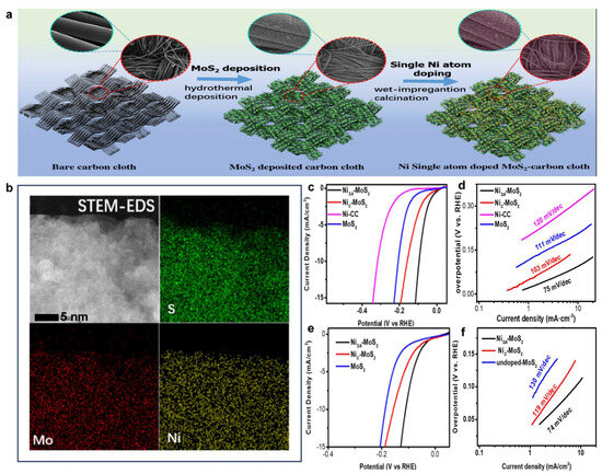Single-Atom Catalysts for Hydrogen Evolution Reaction: The