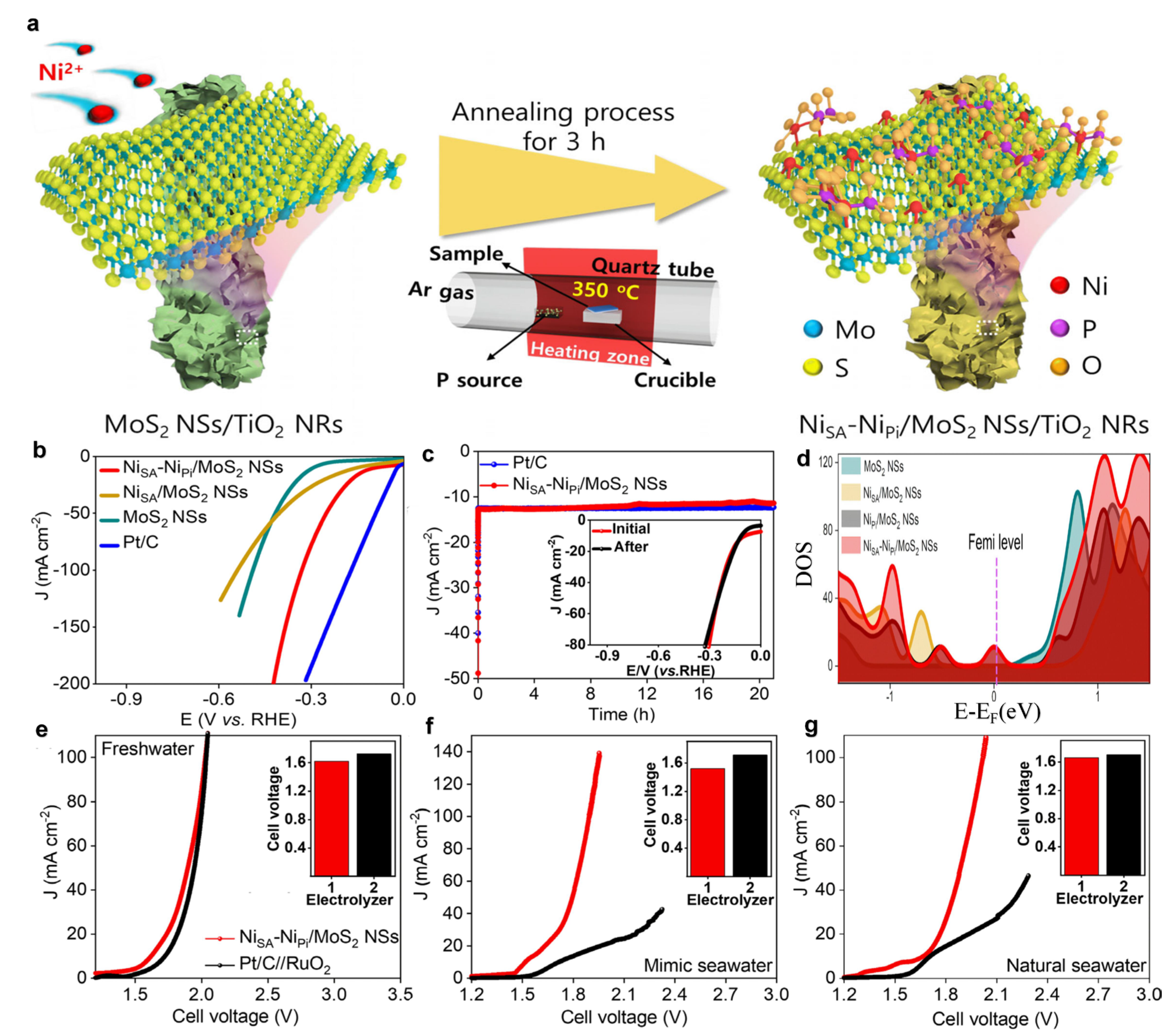Nanomaterials 15 01175 g007
