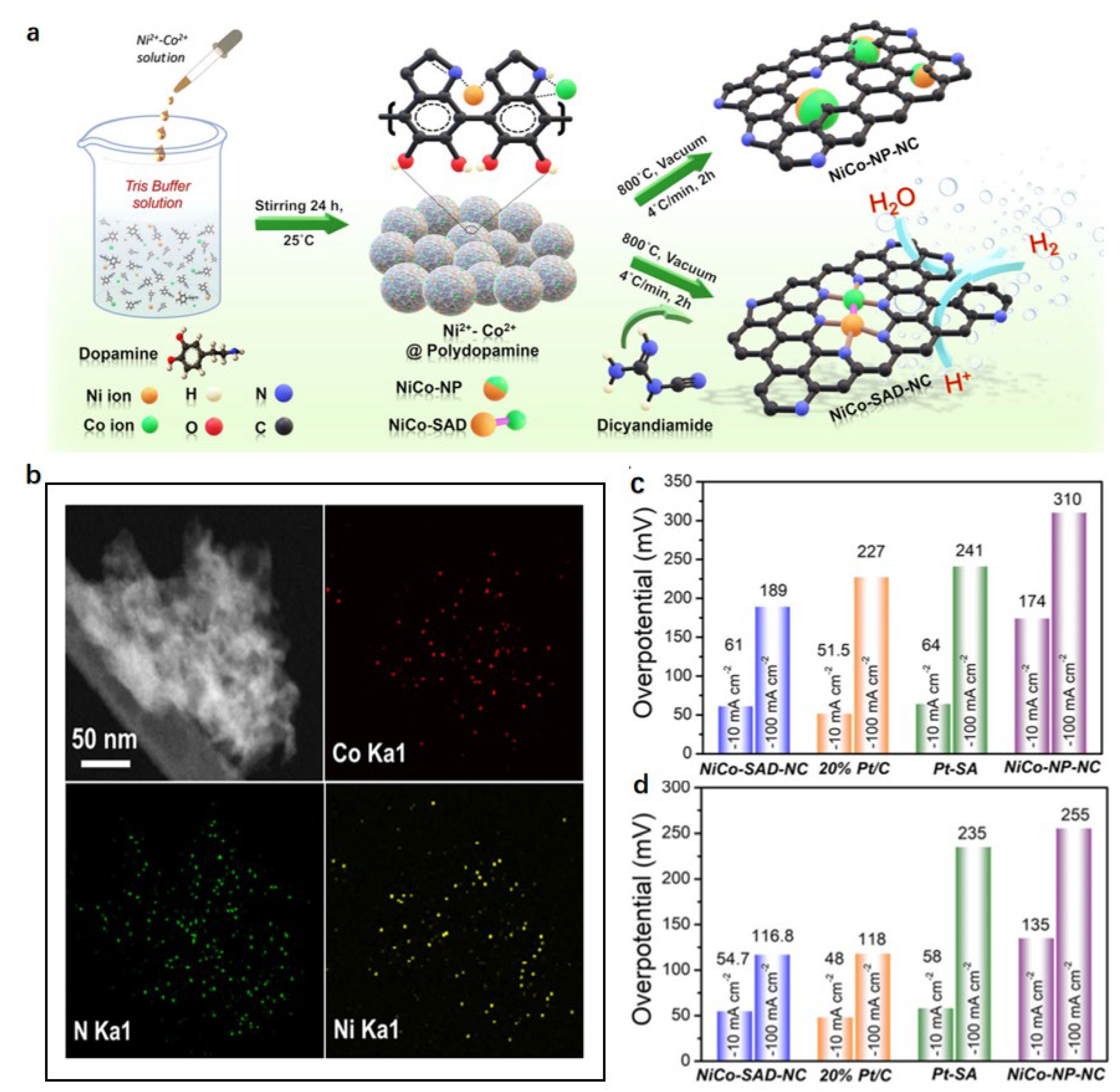 Nanomaterials 15 01175 g008