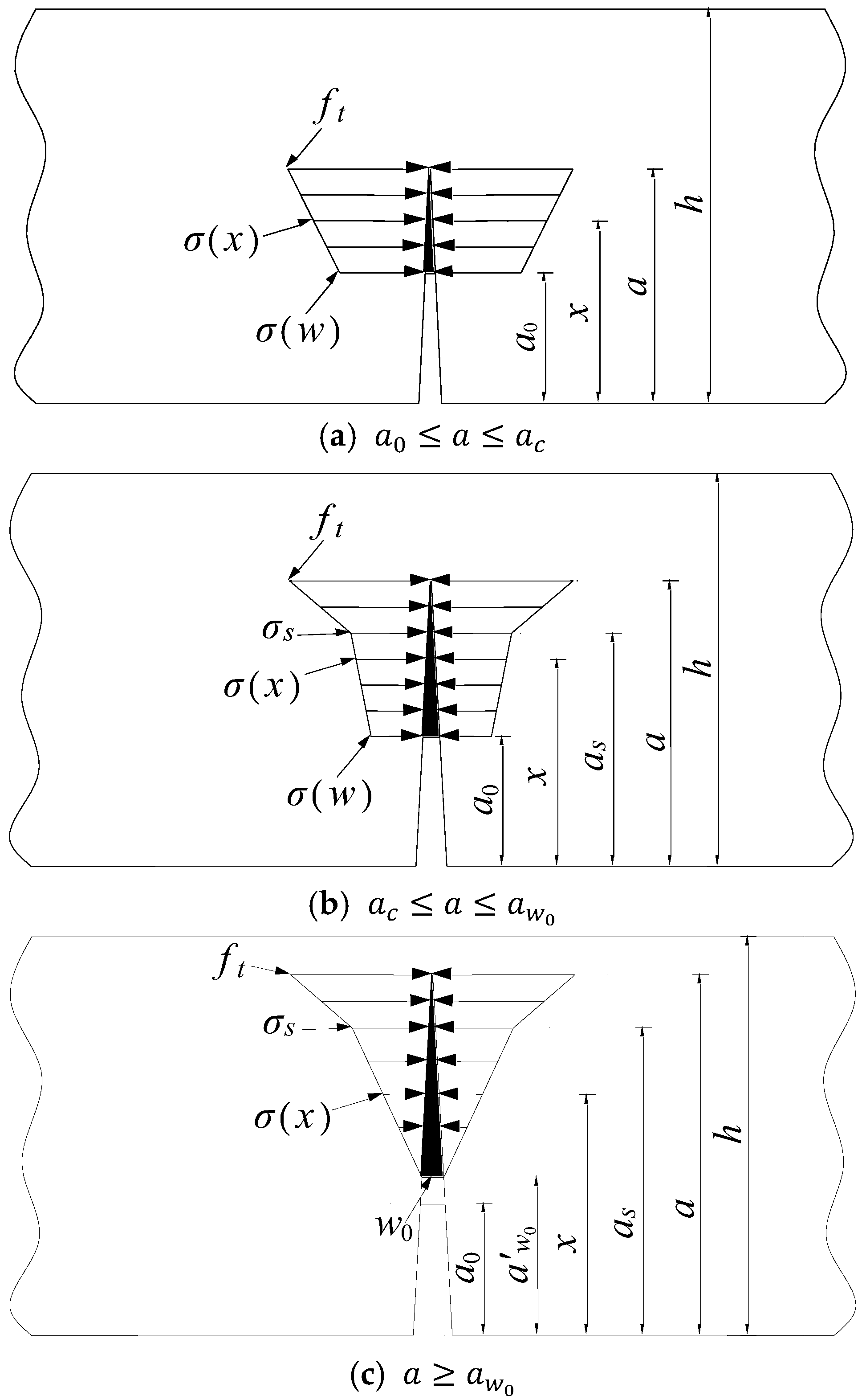Nanomaterials 15 01183 g005
