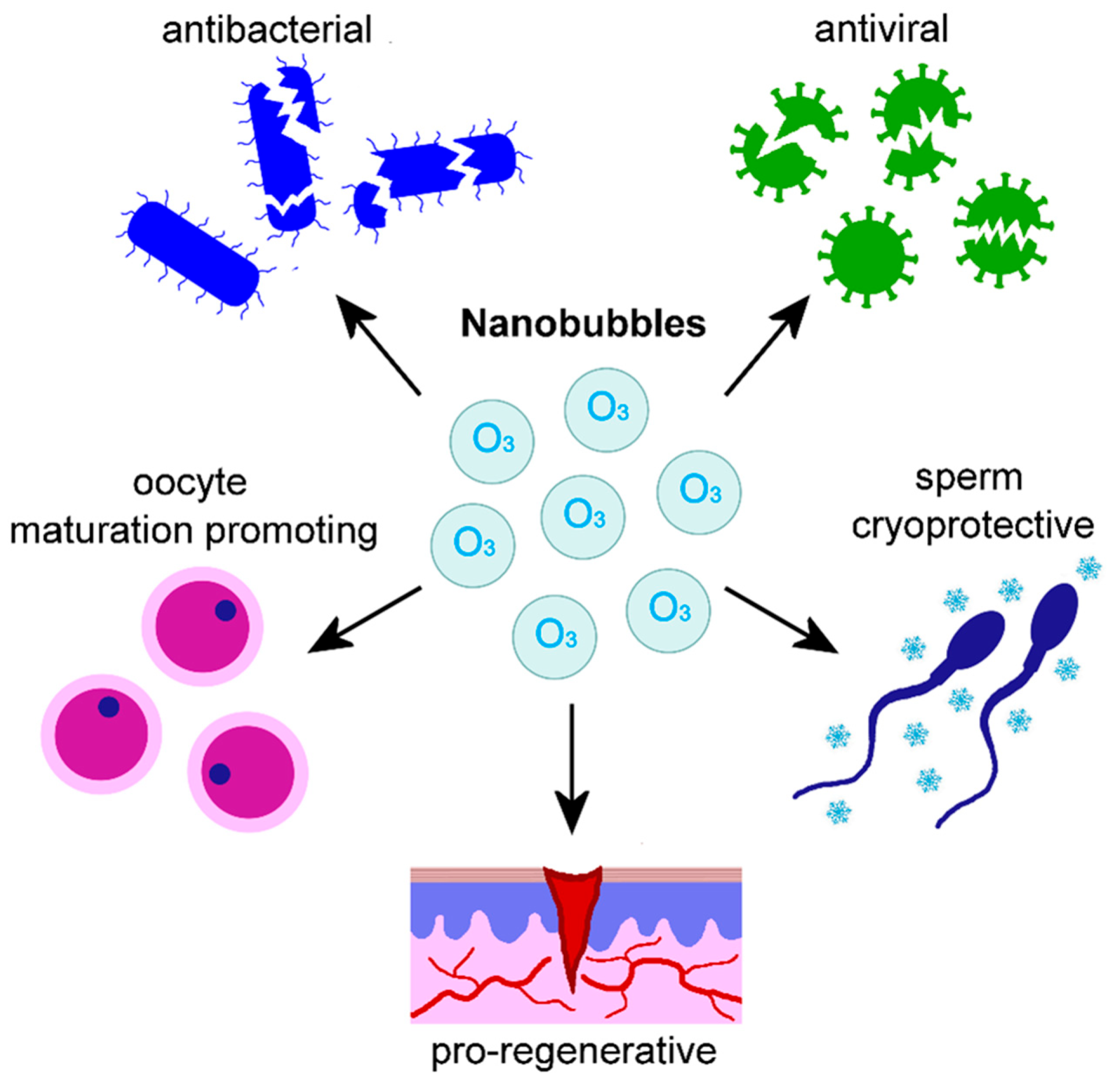 Nanomaterials 15 01188 g002