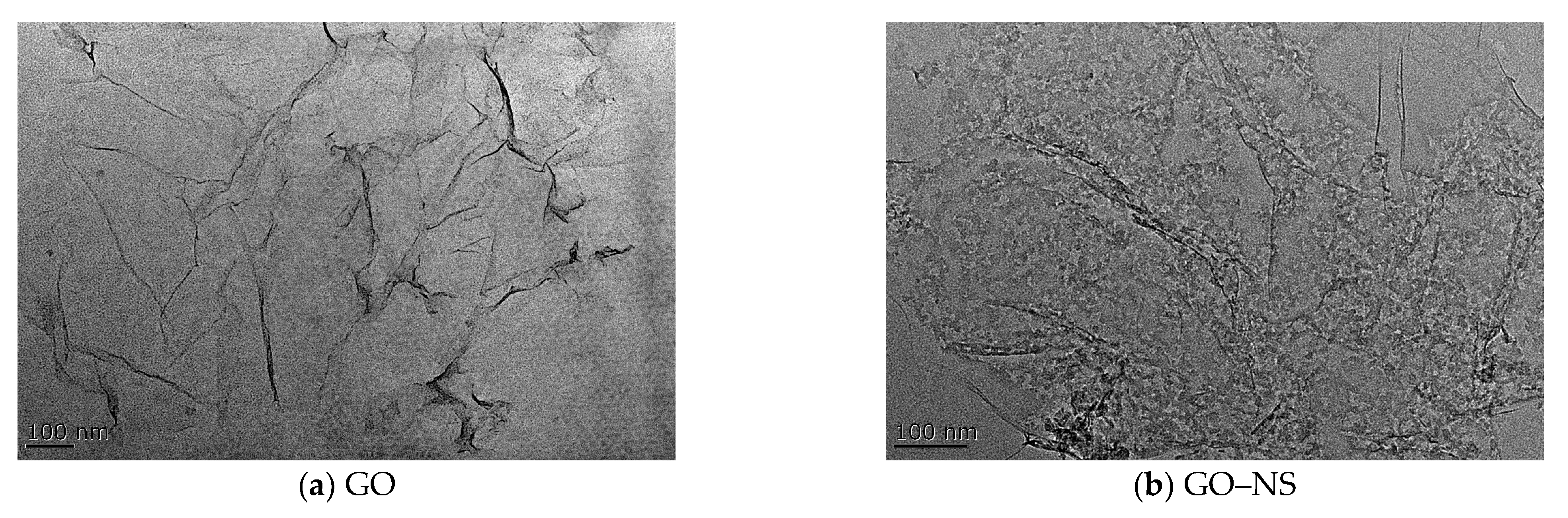 Nanomaterials 15 01194 g003 Nanomaterials 15 01194 g003